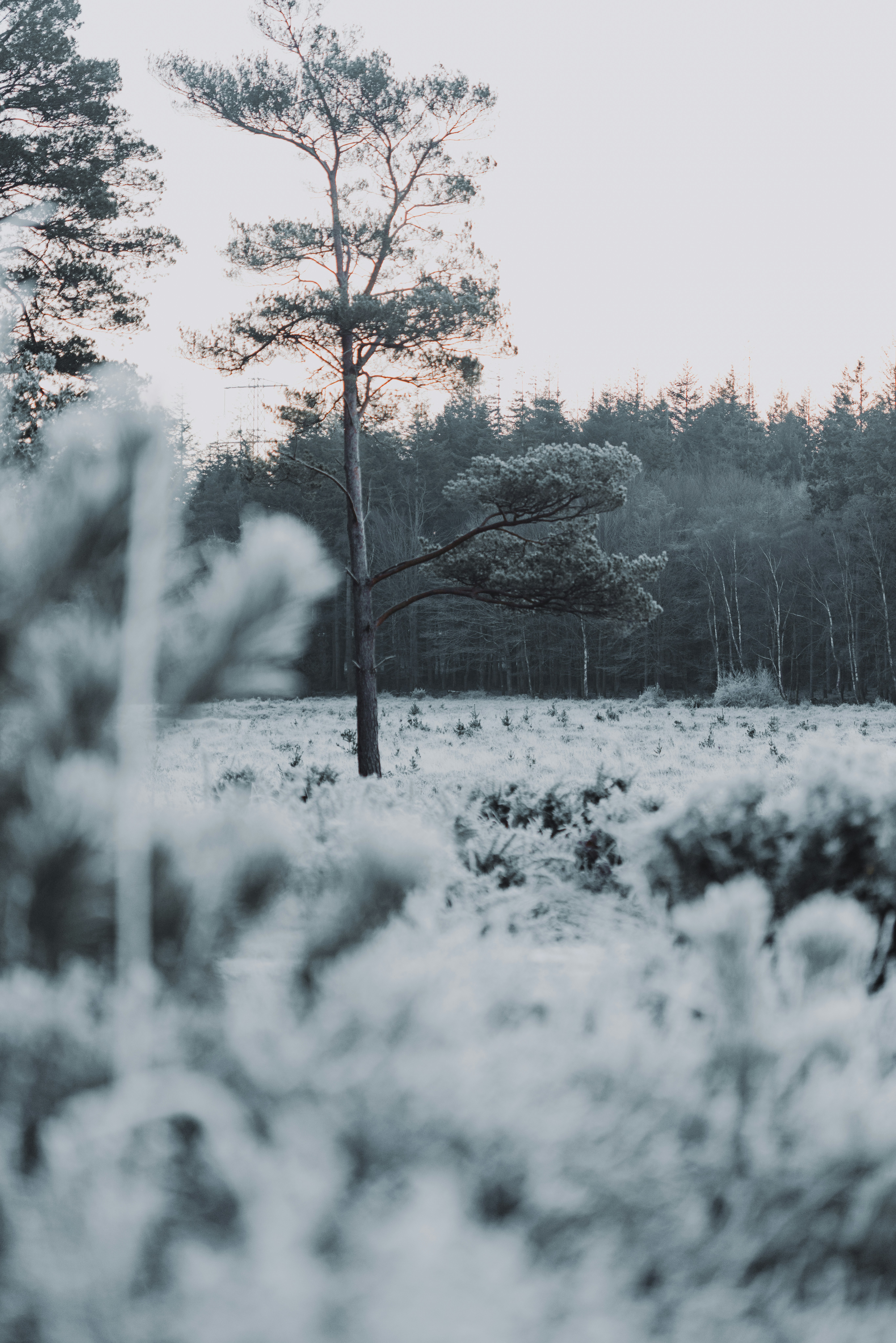 Photo by anniespratt