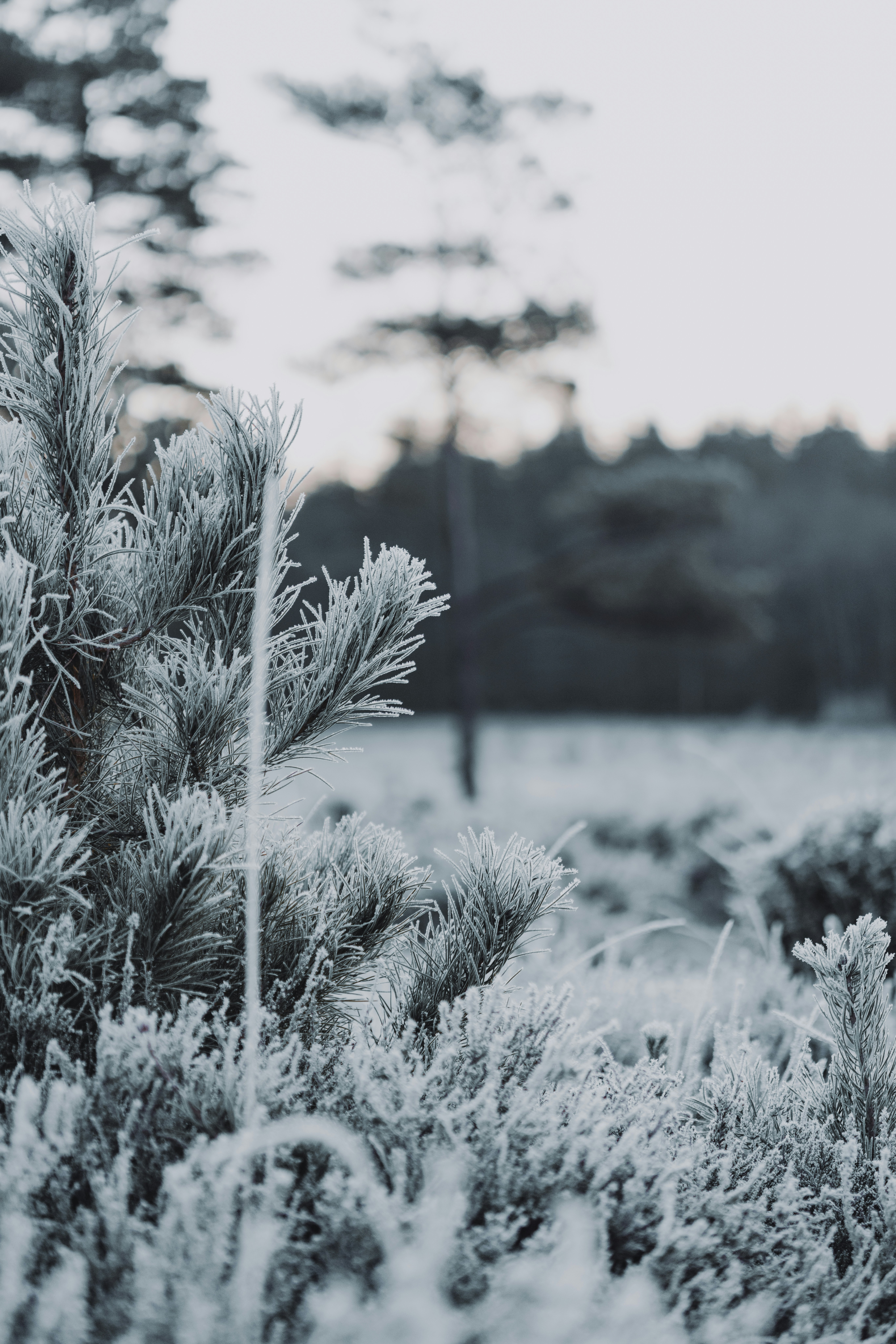 Photo by anniespratt