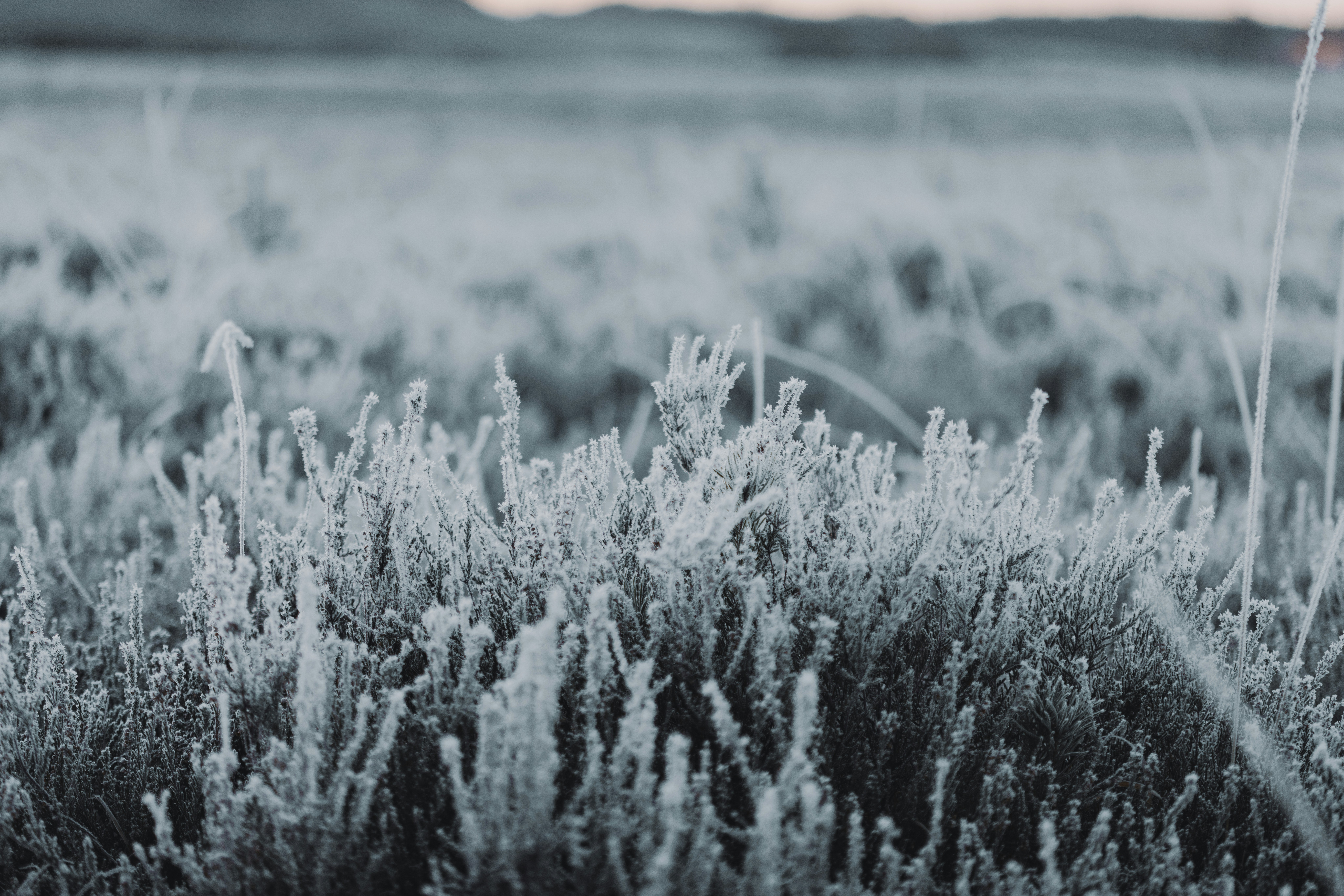 Photo by anniespratt