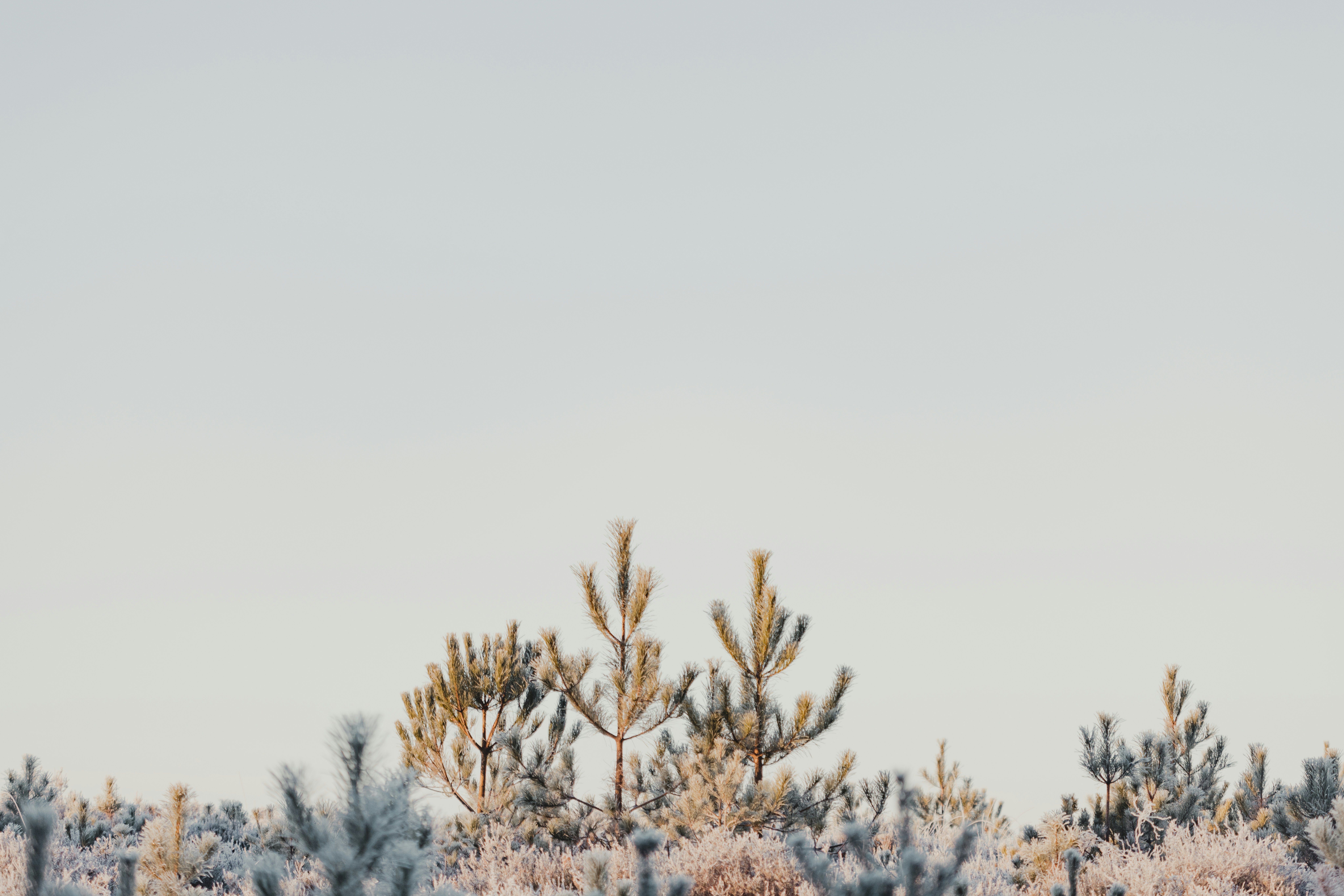 Photo by anniespratt