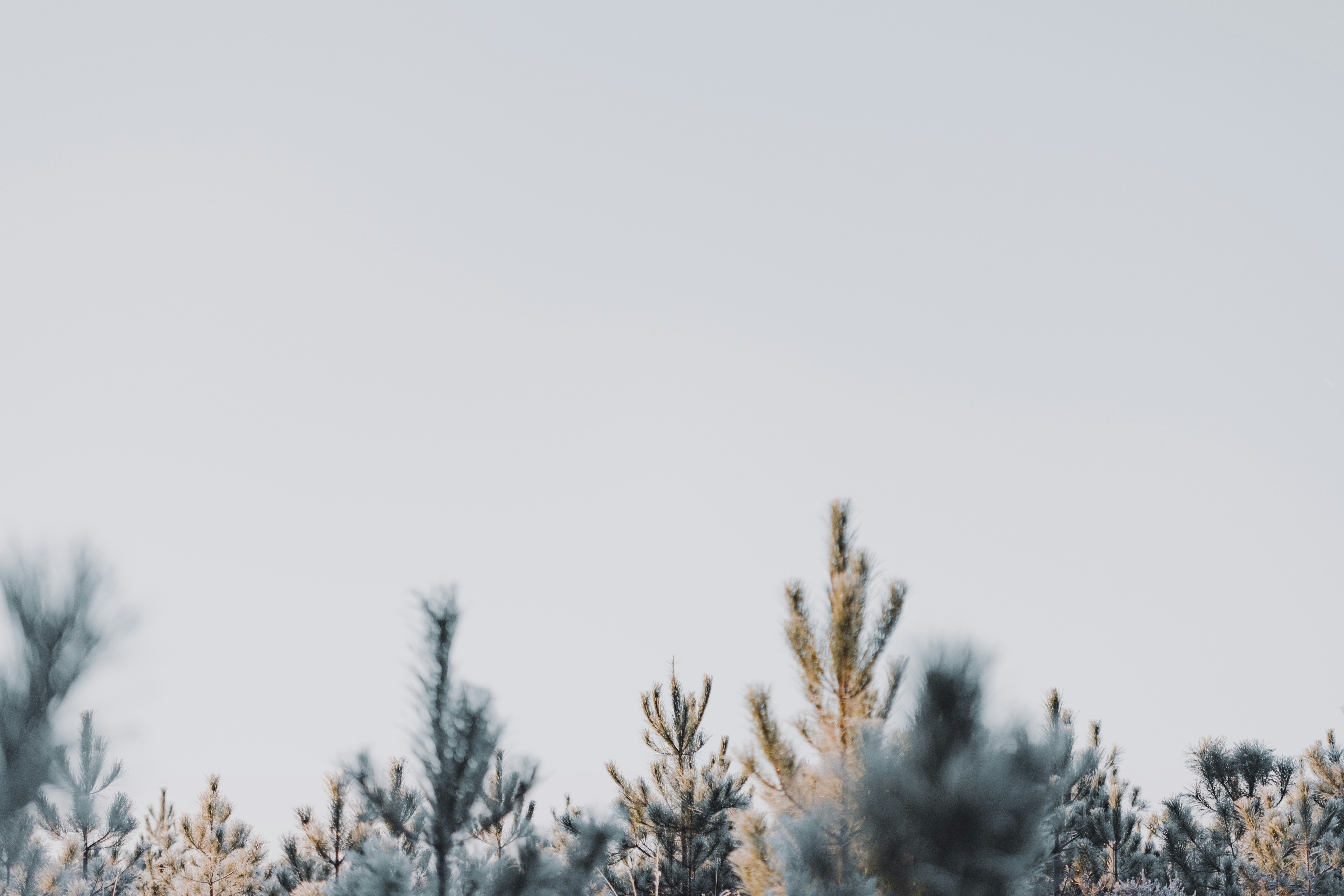 Photo by anniespratt