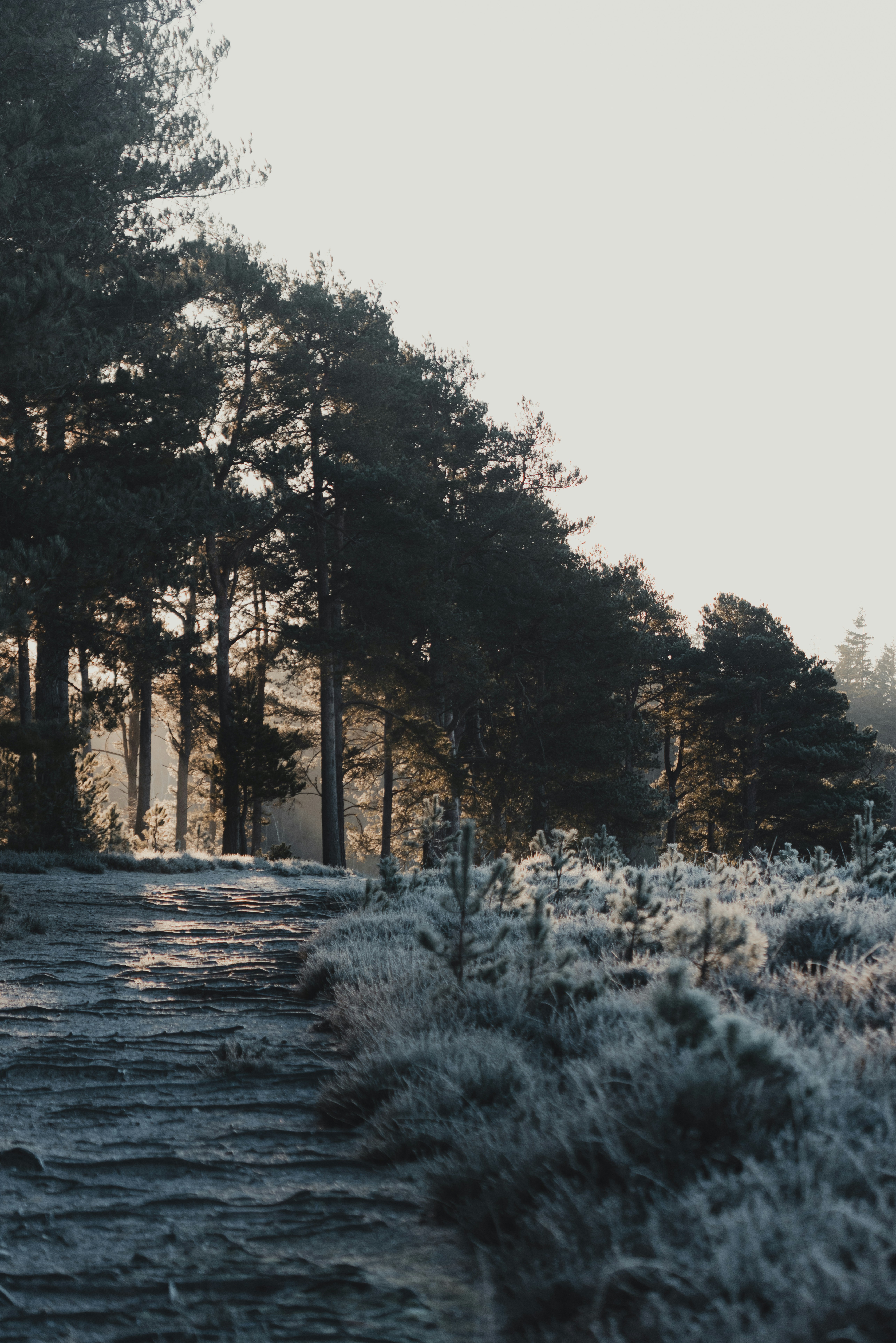 Photo by anniespratt