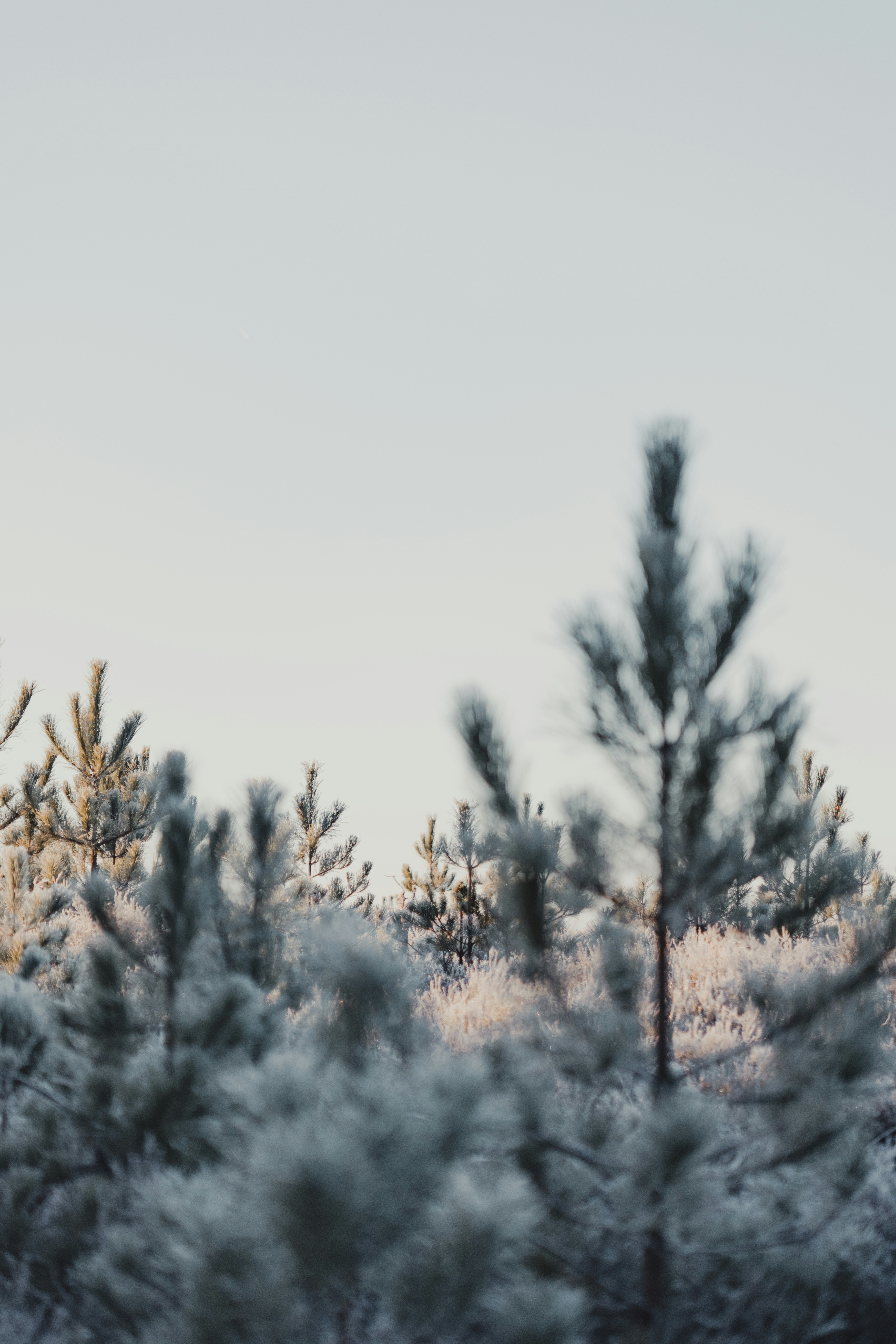 Photo by anniespratt