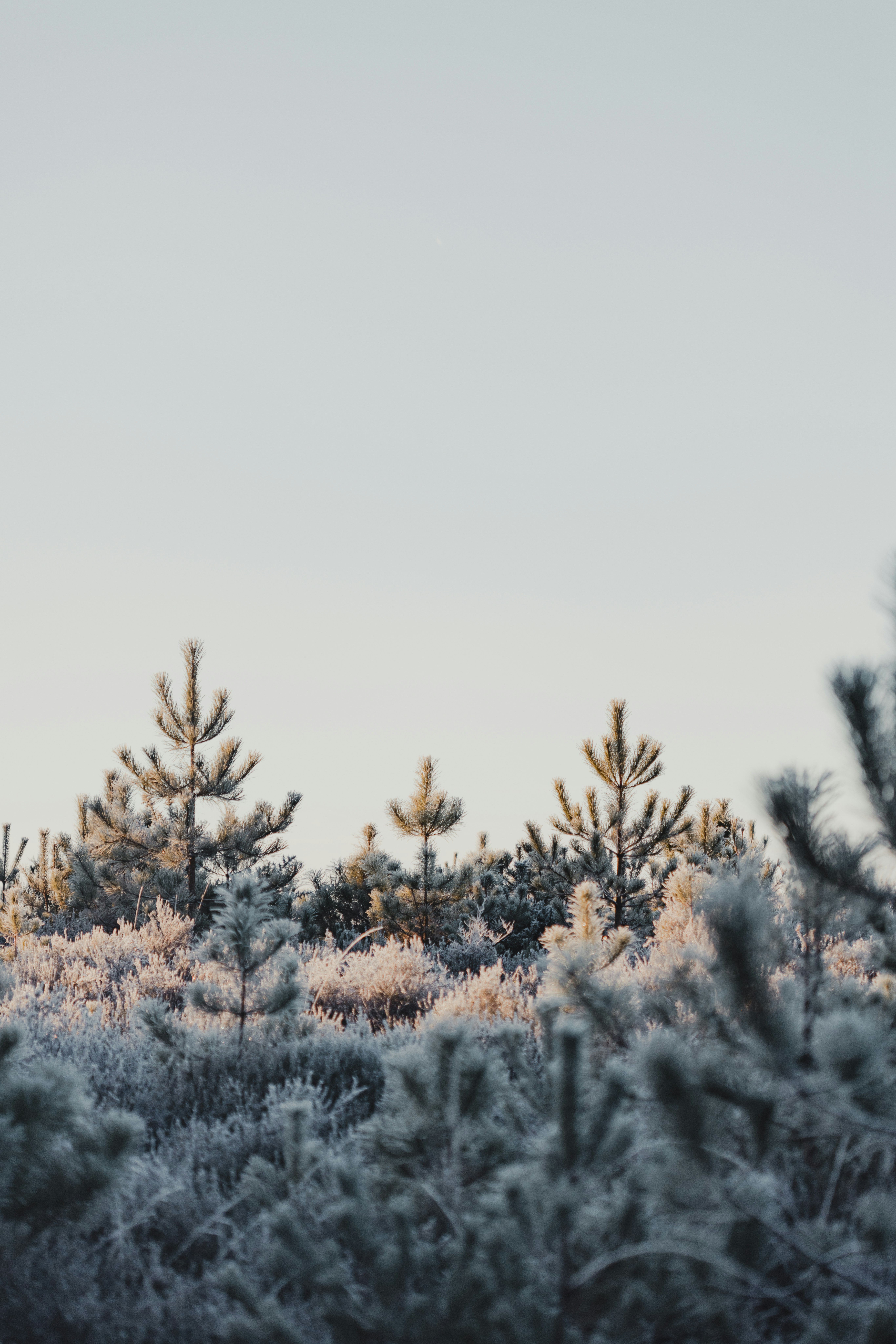 Photo by anniespratt