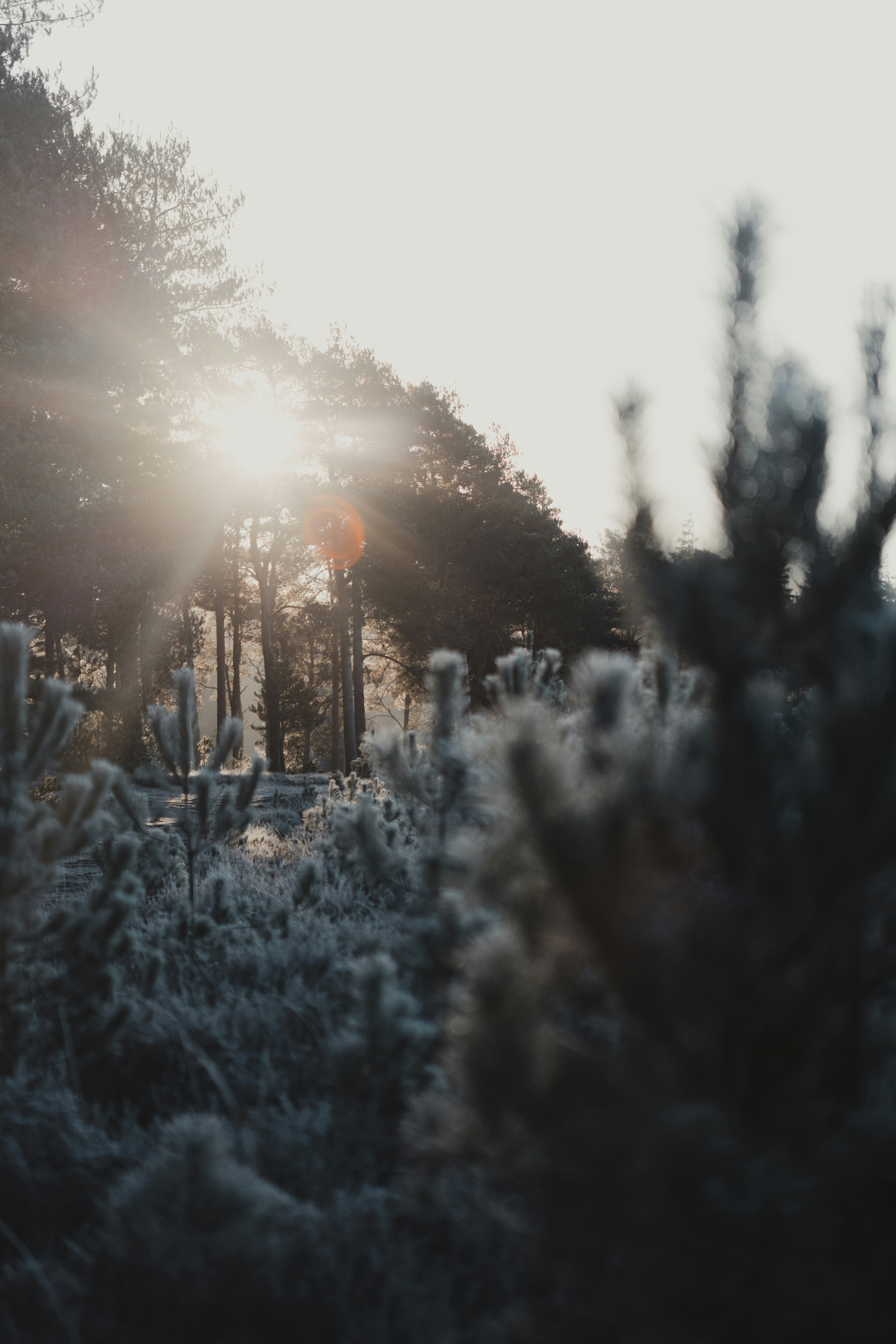 Photo by anniespratt