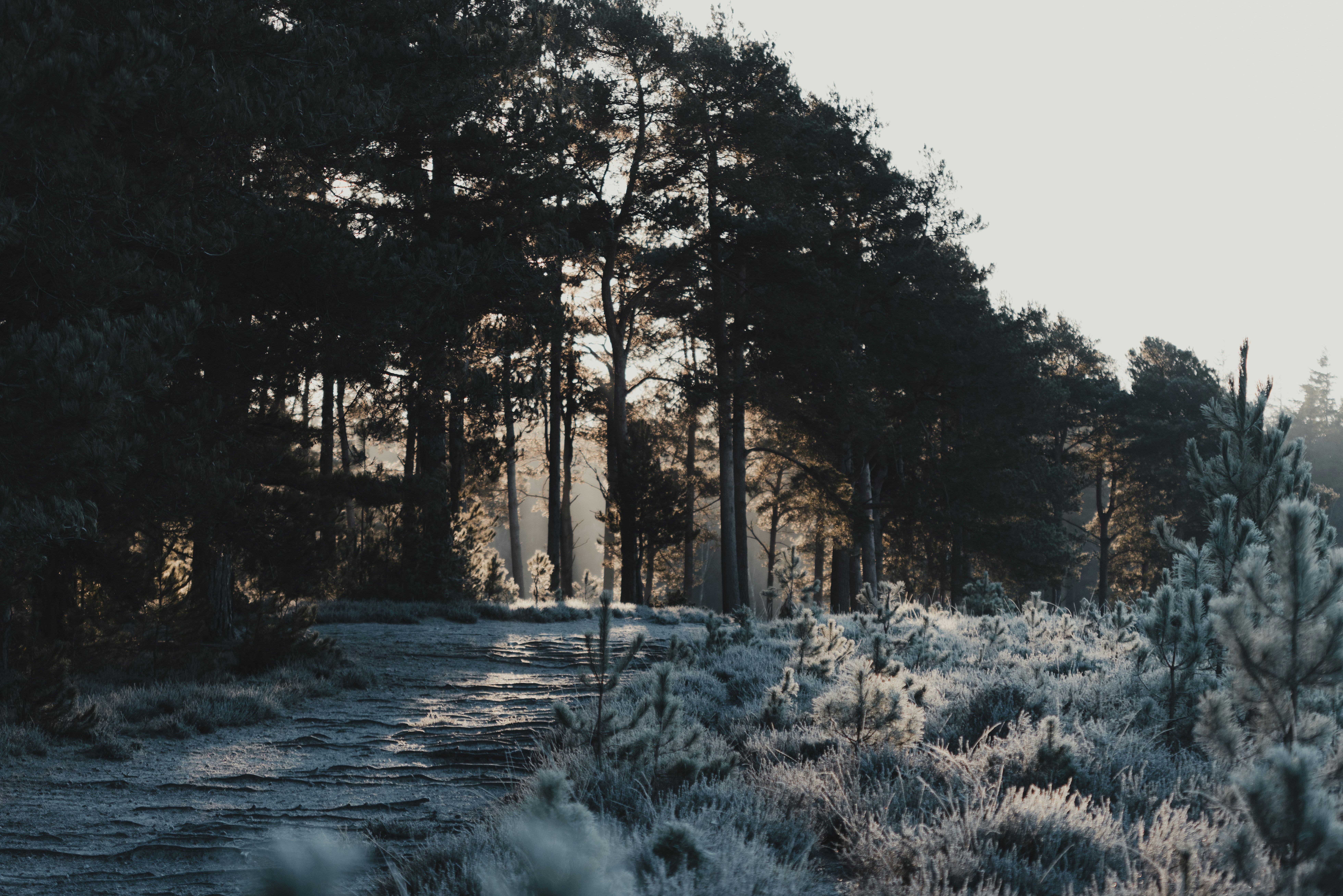 Photo by anniespratt