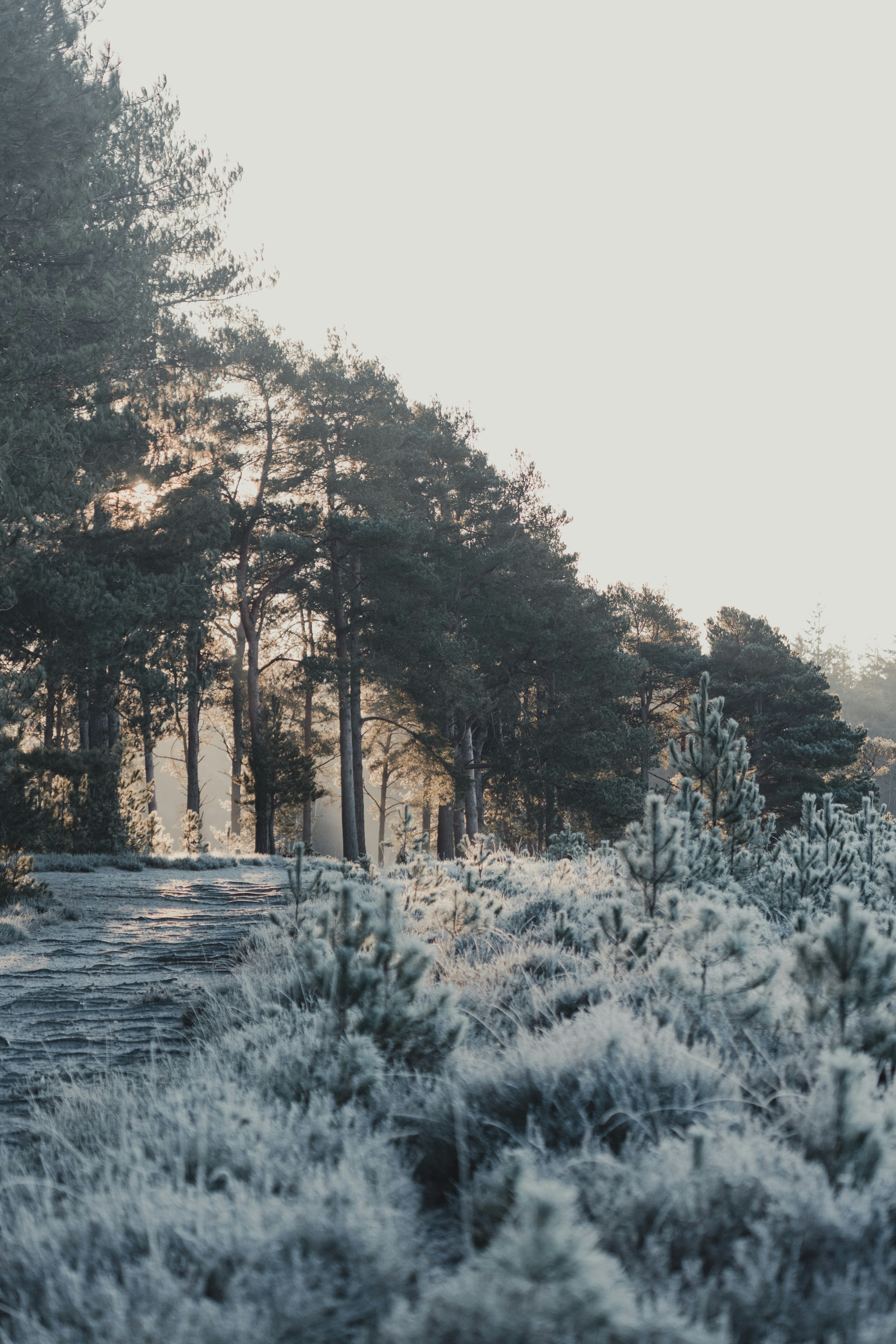 Photo by anniespratt