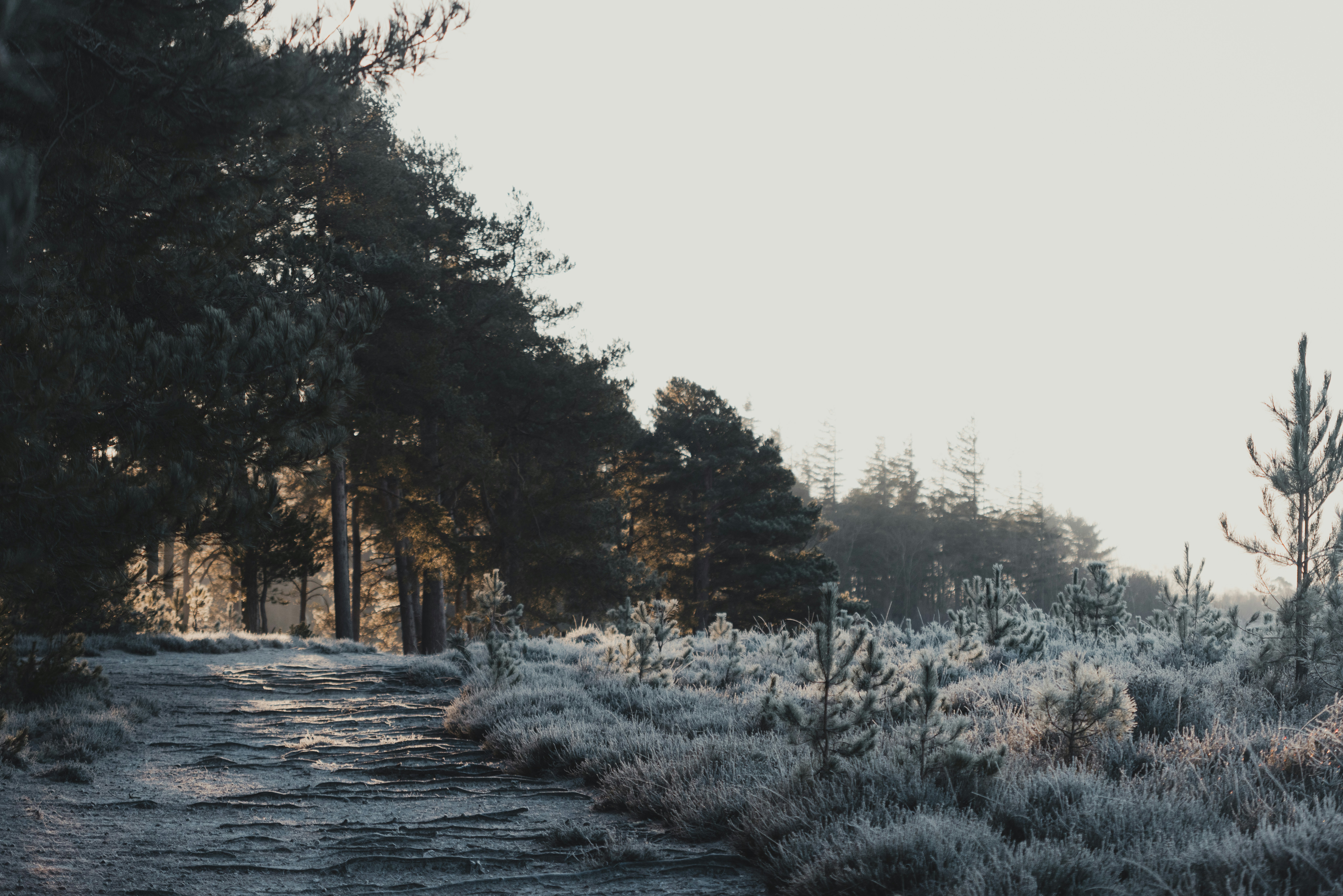 Photo by anniespratt