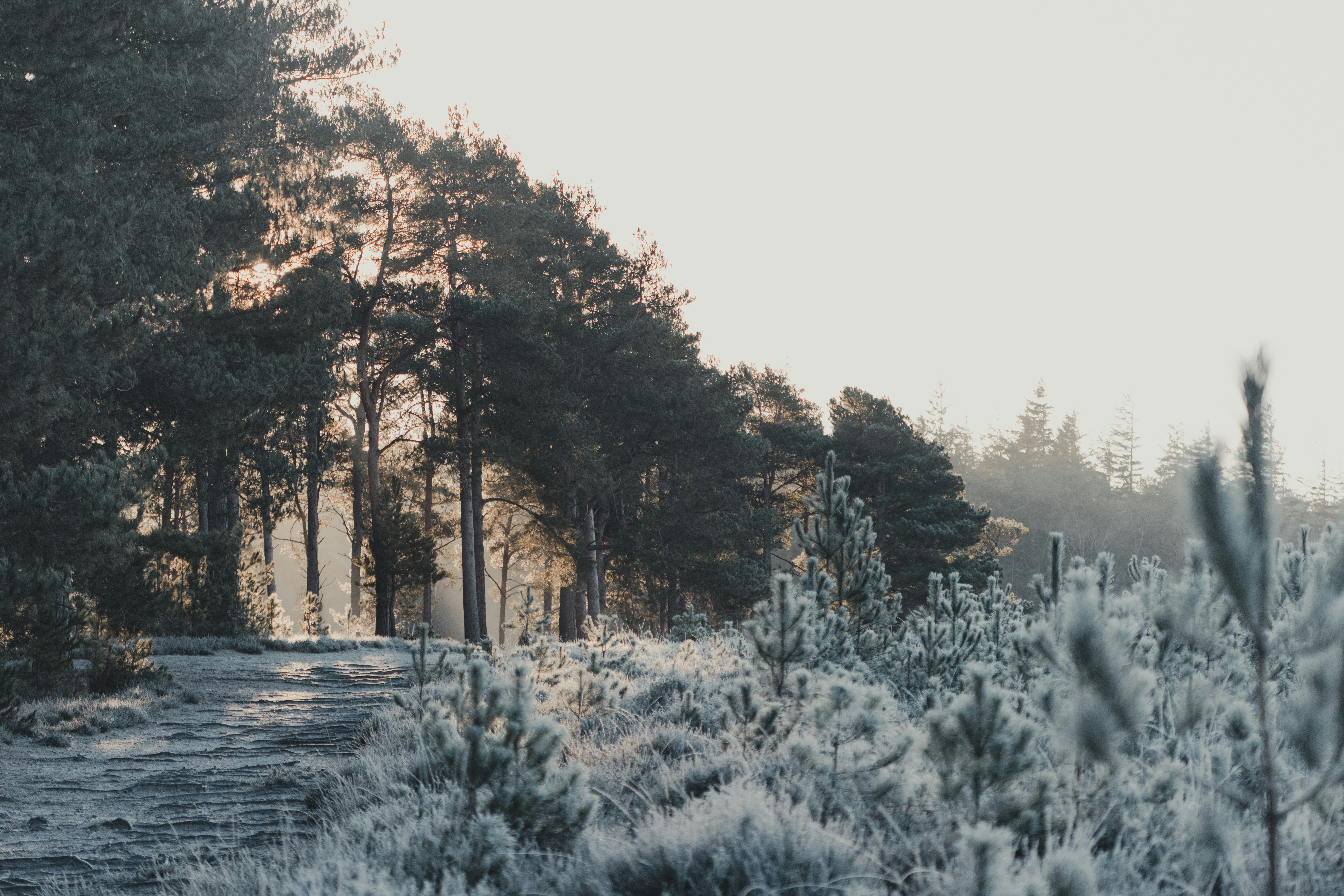 Photo by anniespratt