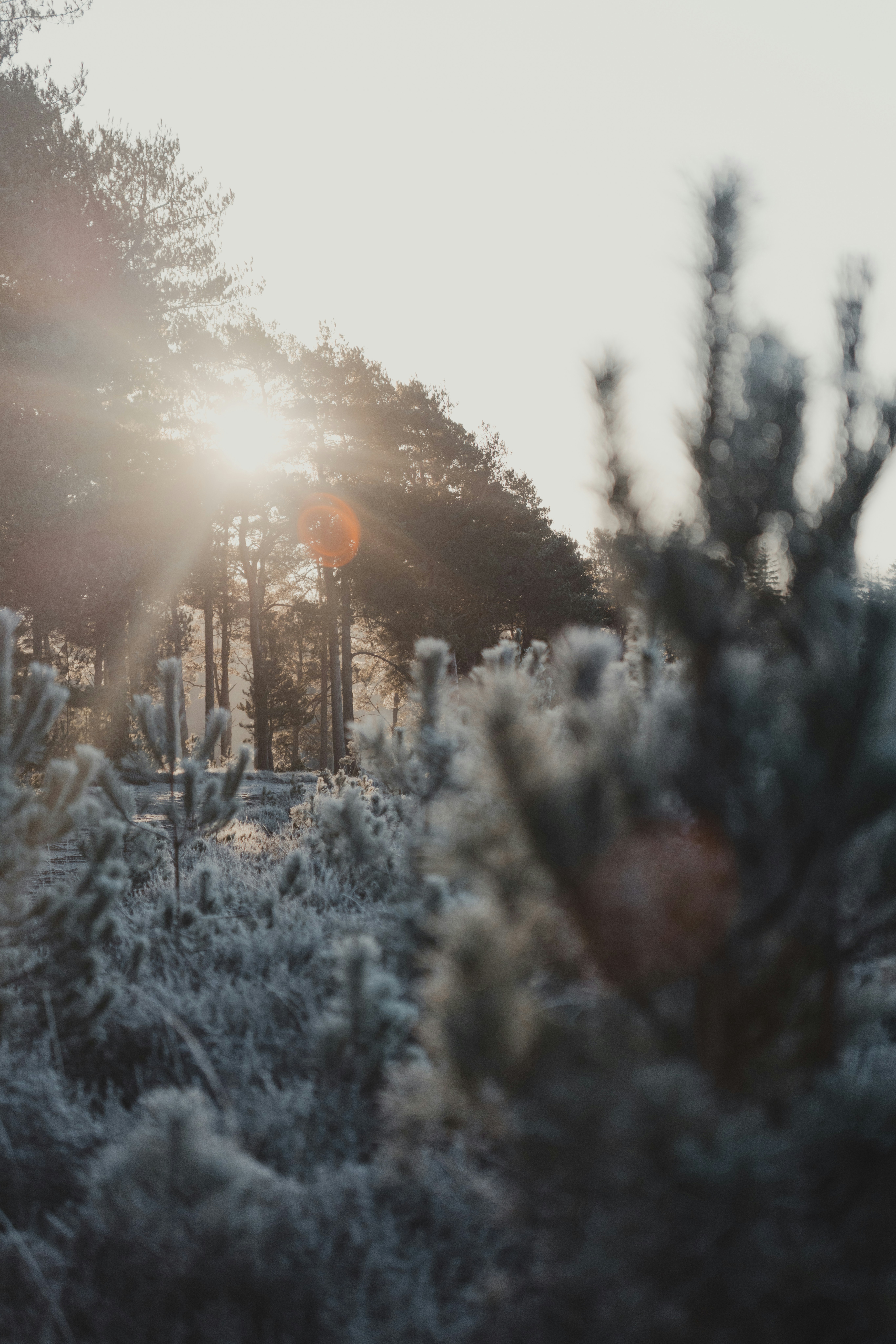 Photo by anniespratt