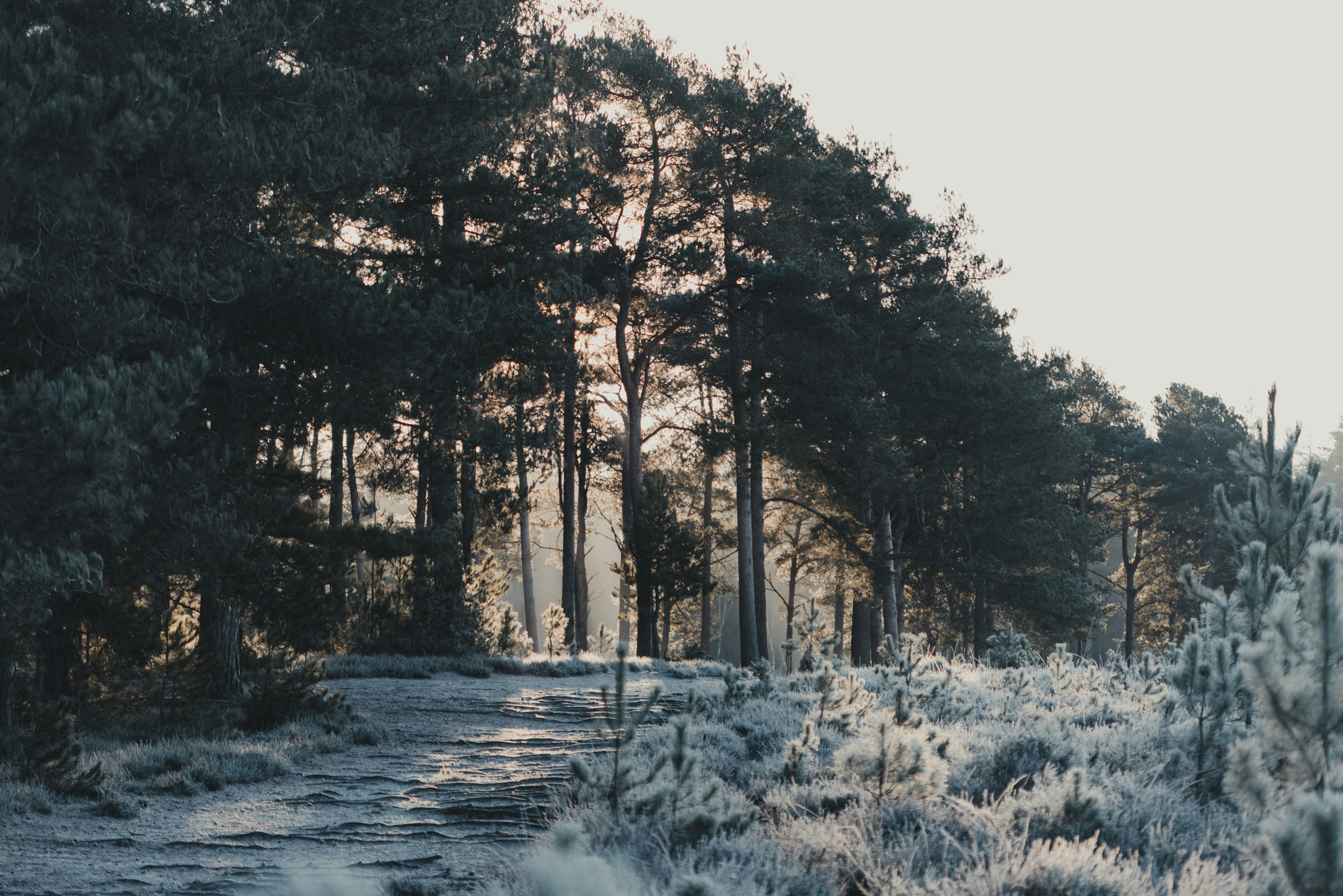 Photo by anniespratt