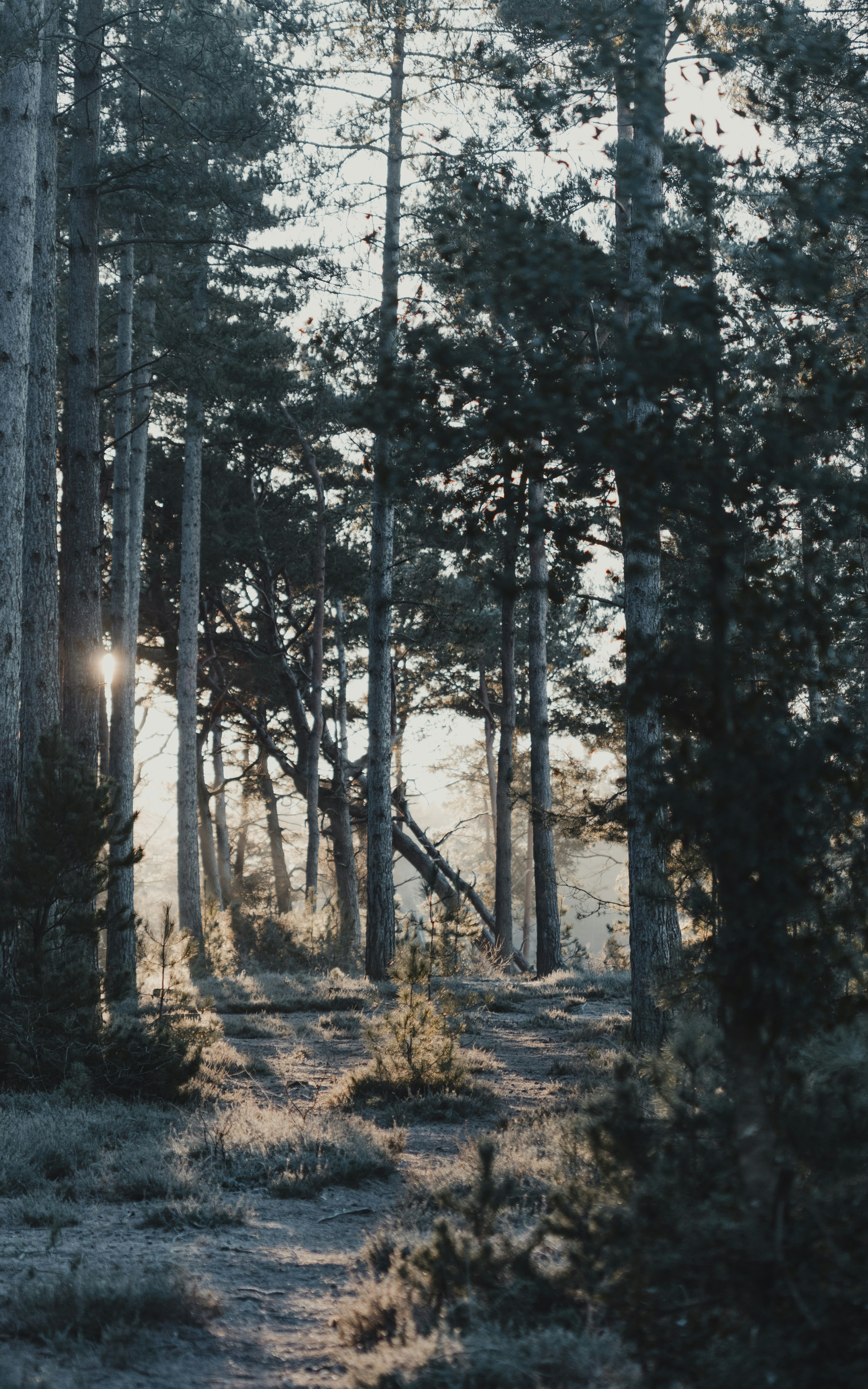 Photo by anniespratt