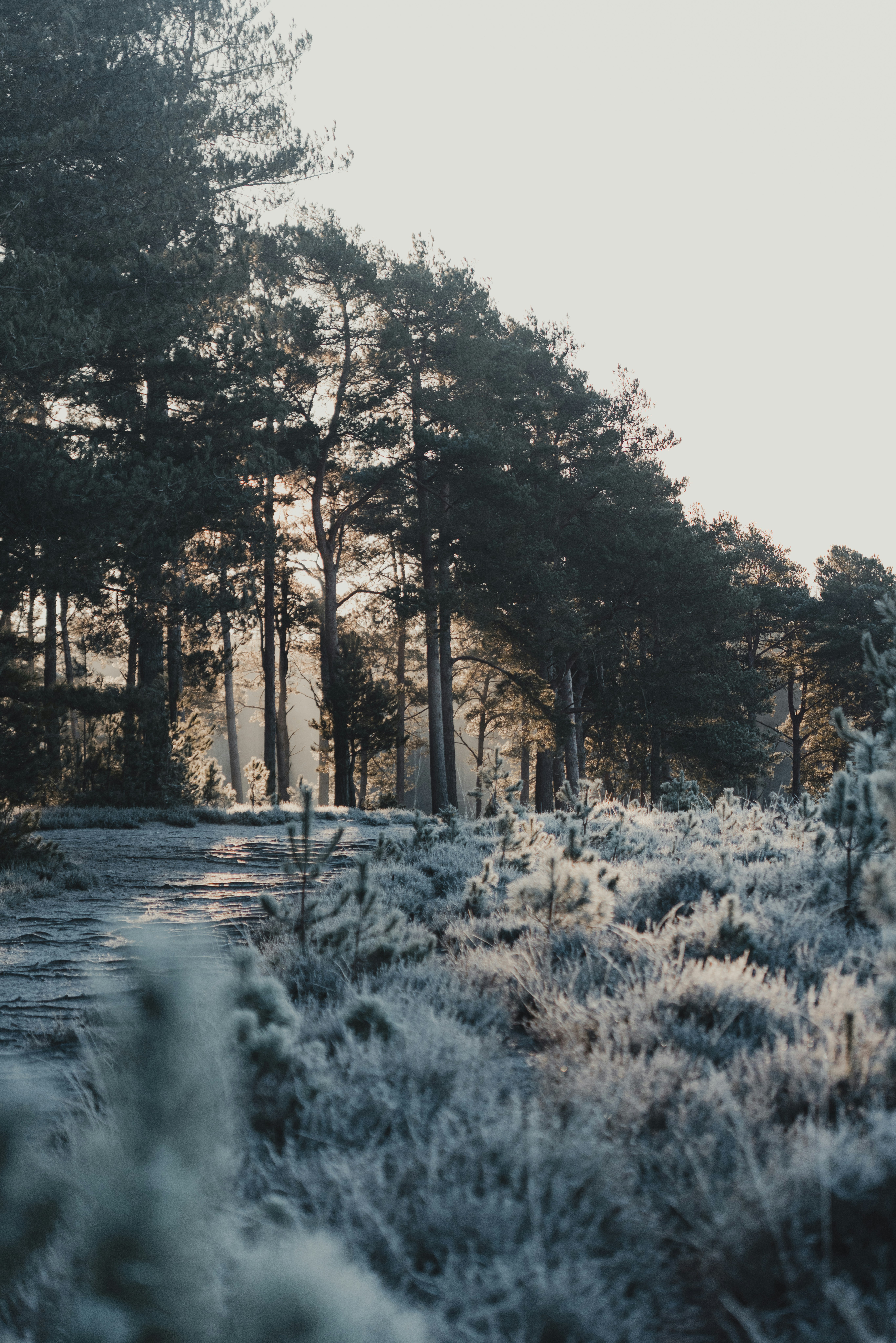 Photo by anniespratt