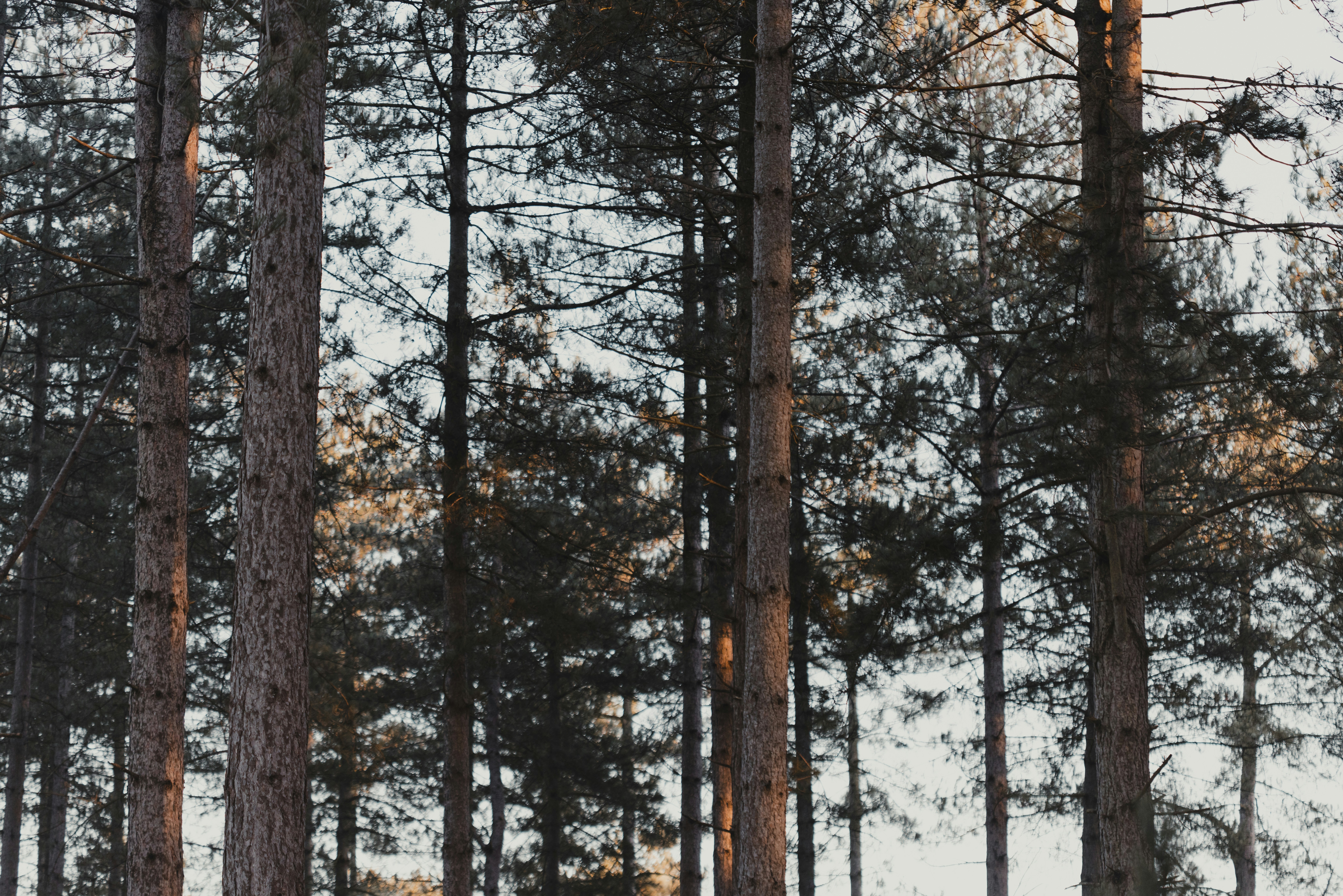 Photo by anniespratt