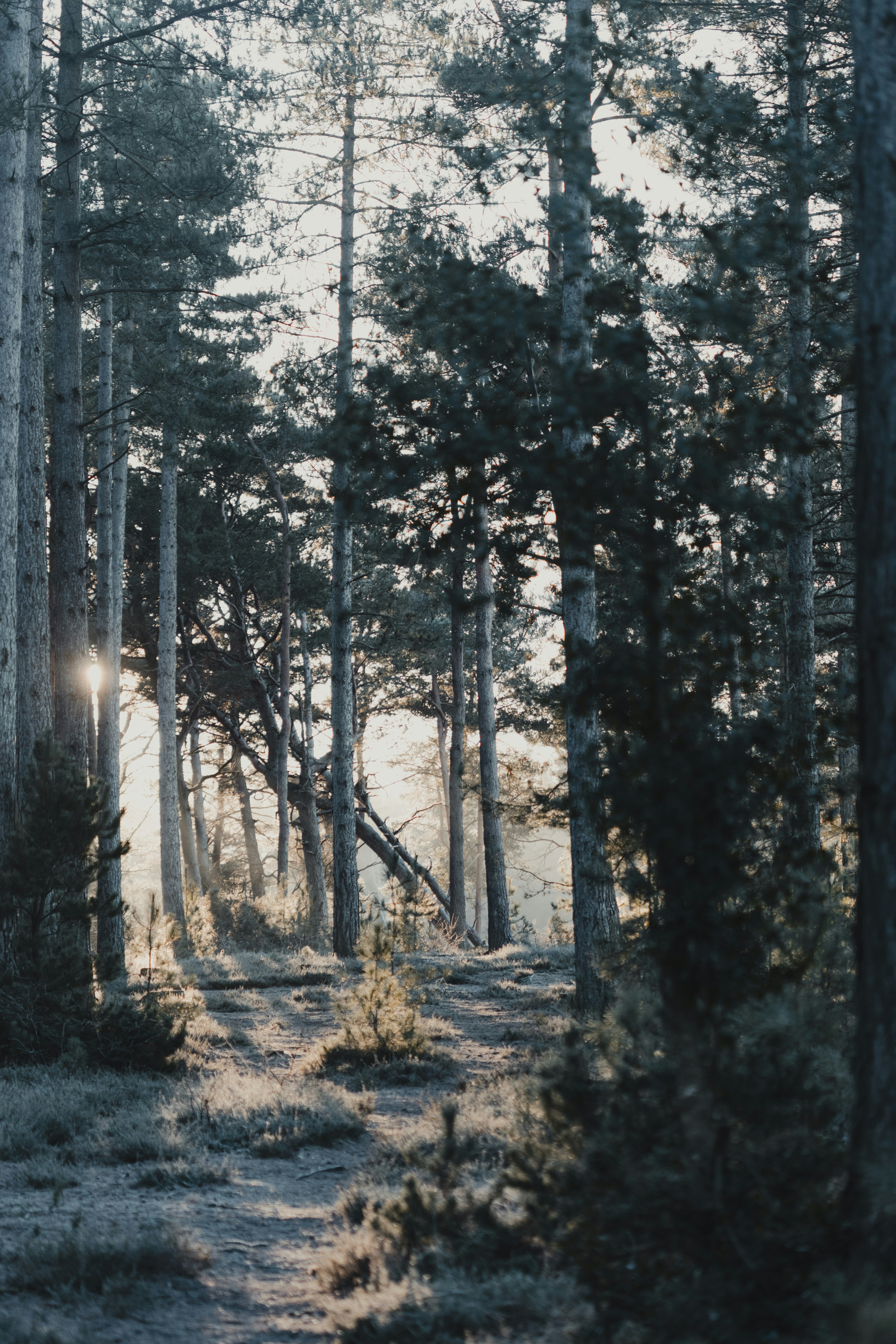 Photo by anniespratt