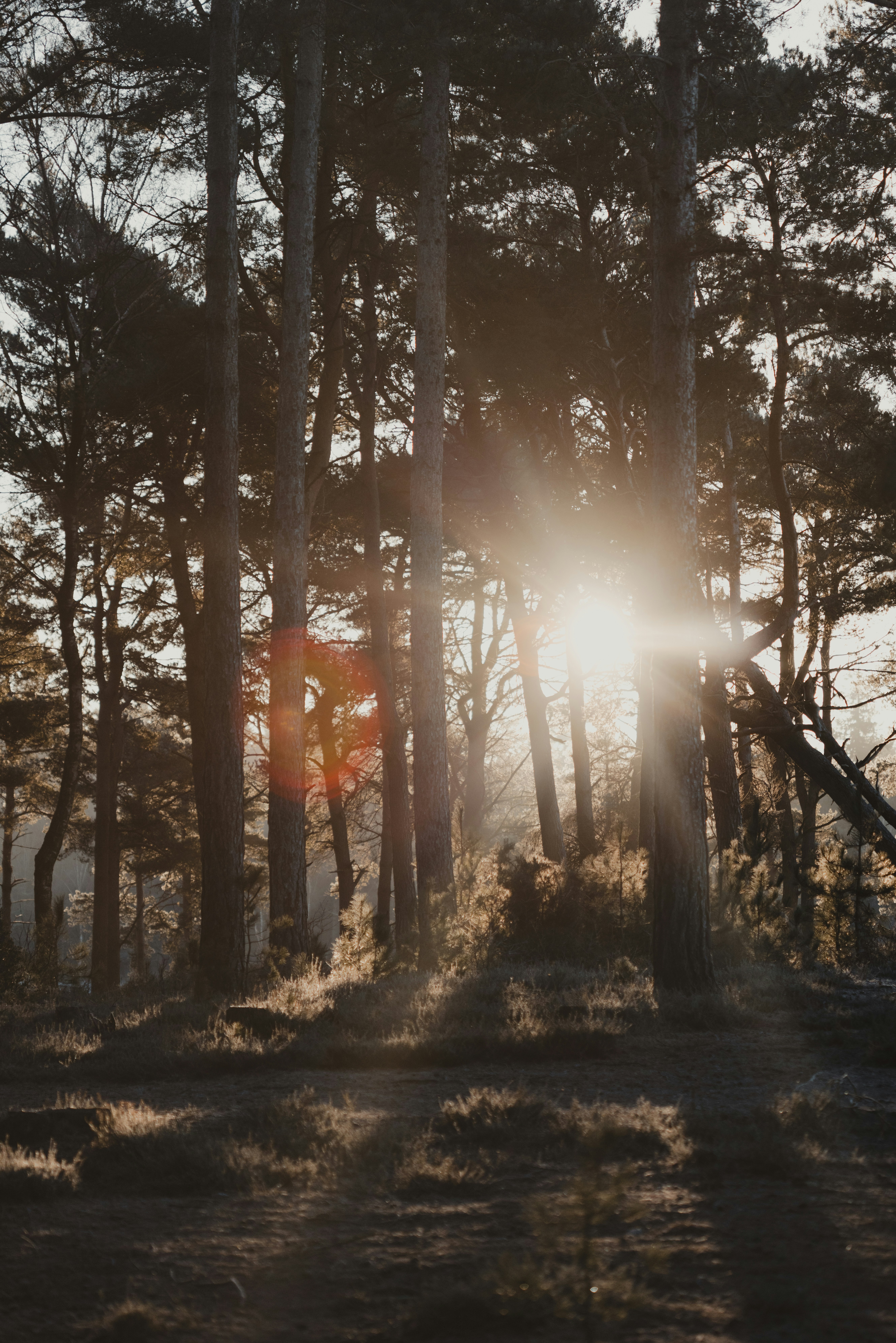 Photo by anniespratt