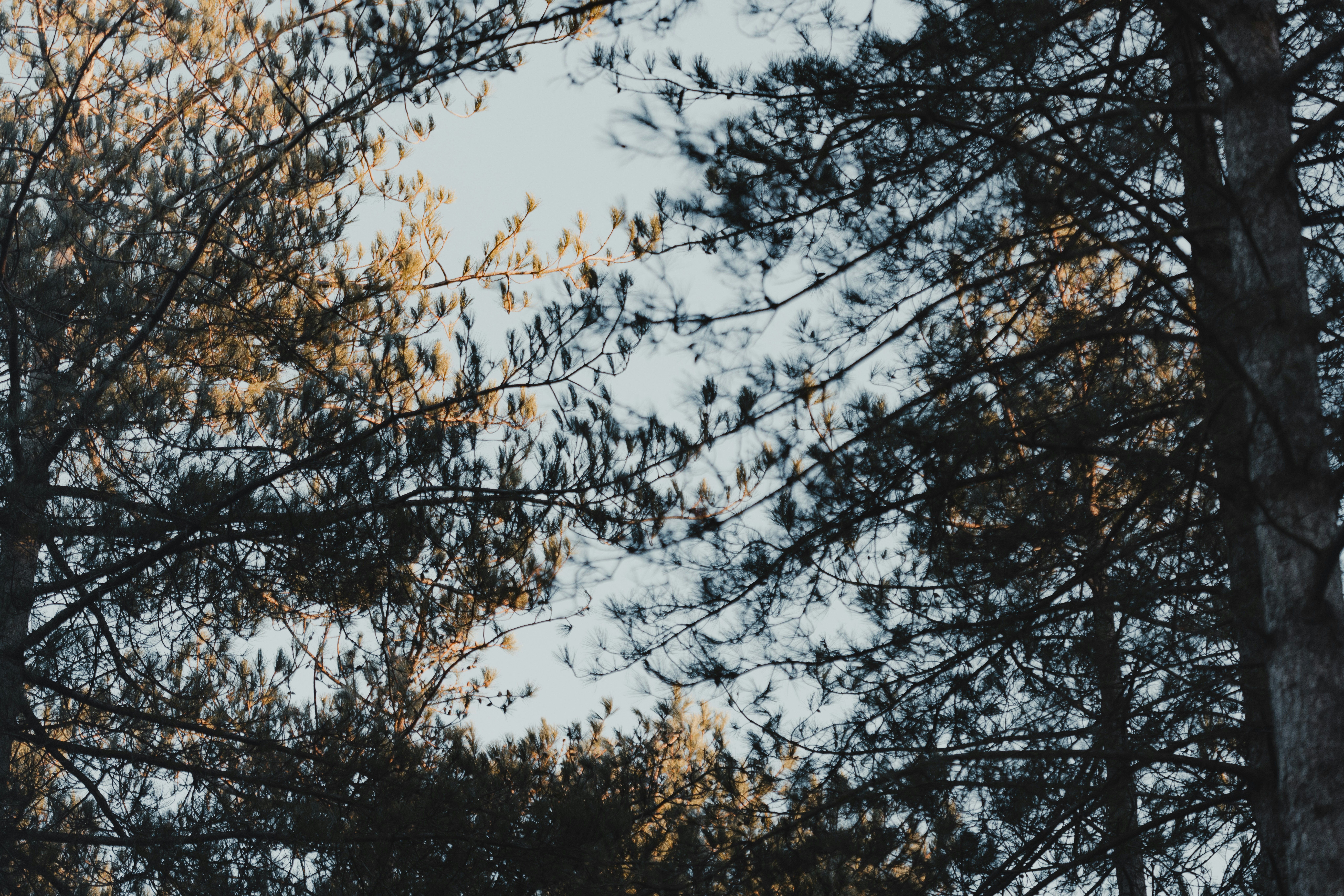 Photo by anniespratt