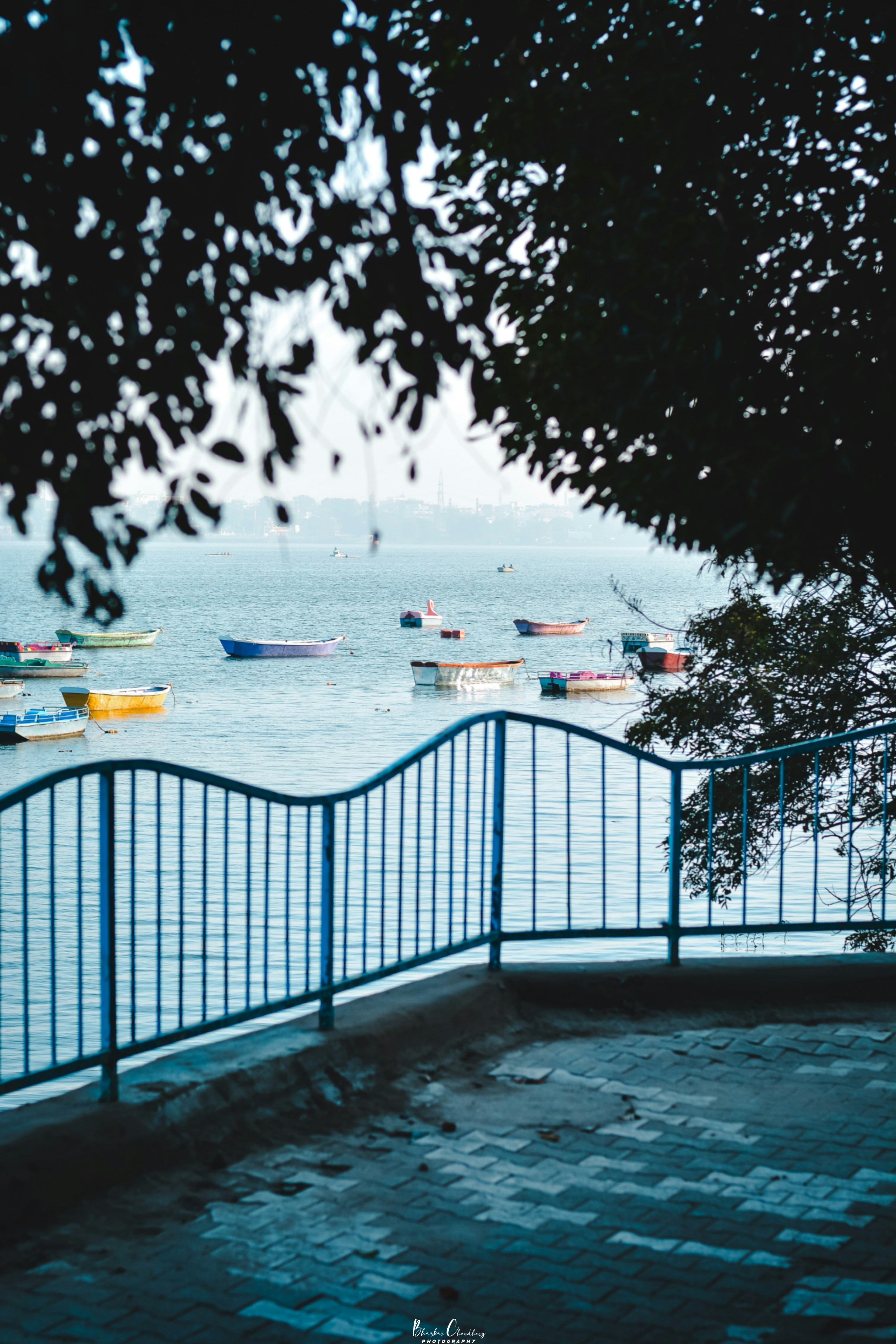 A bunch of boats that are in the water