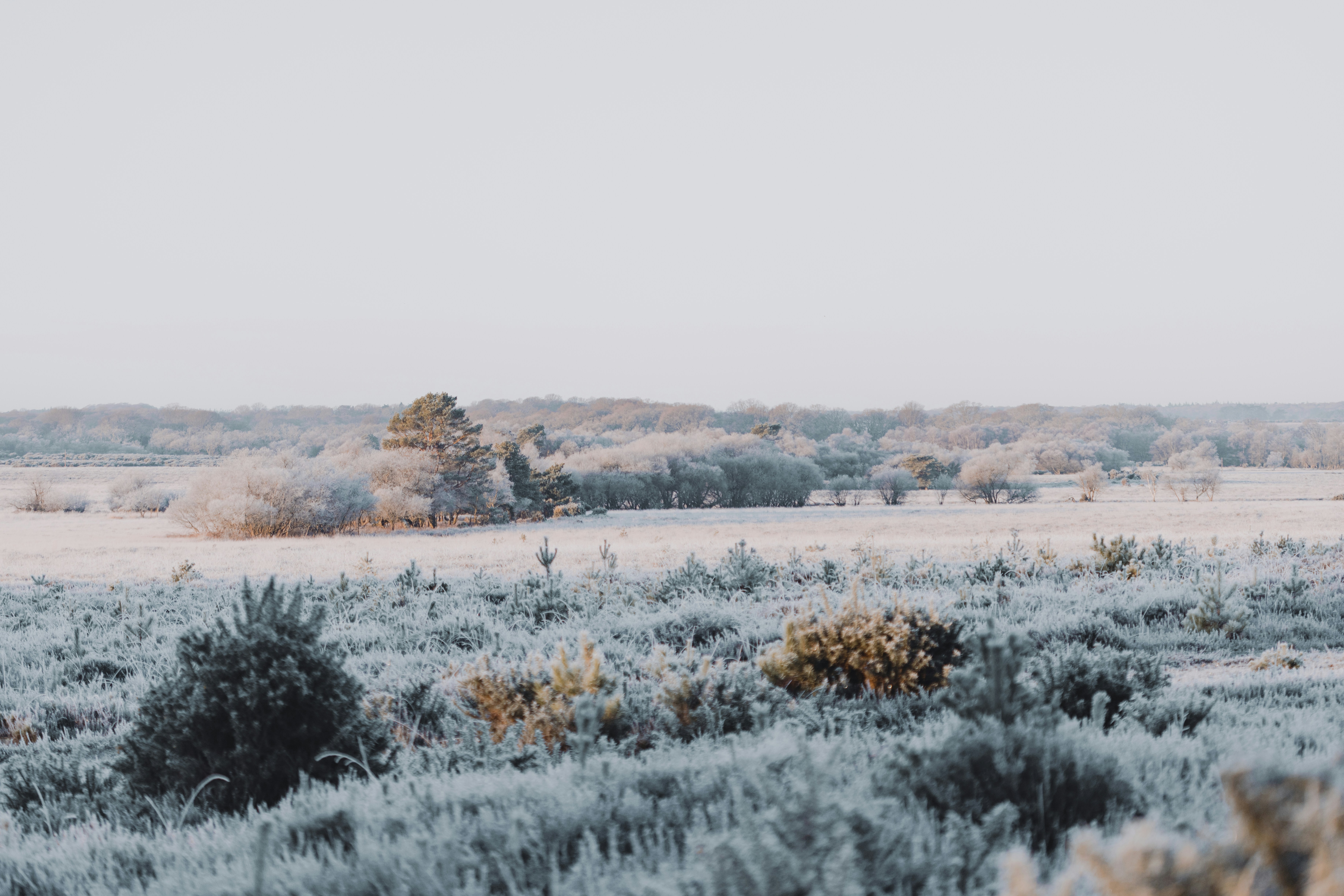 Photo by anniespratt