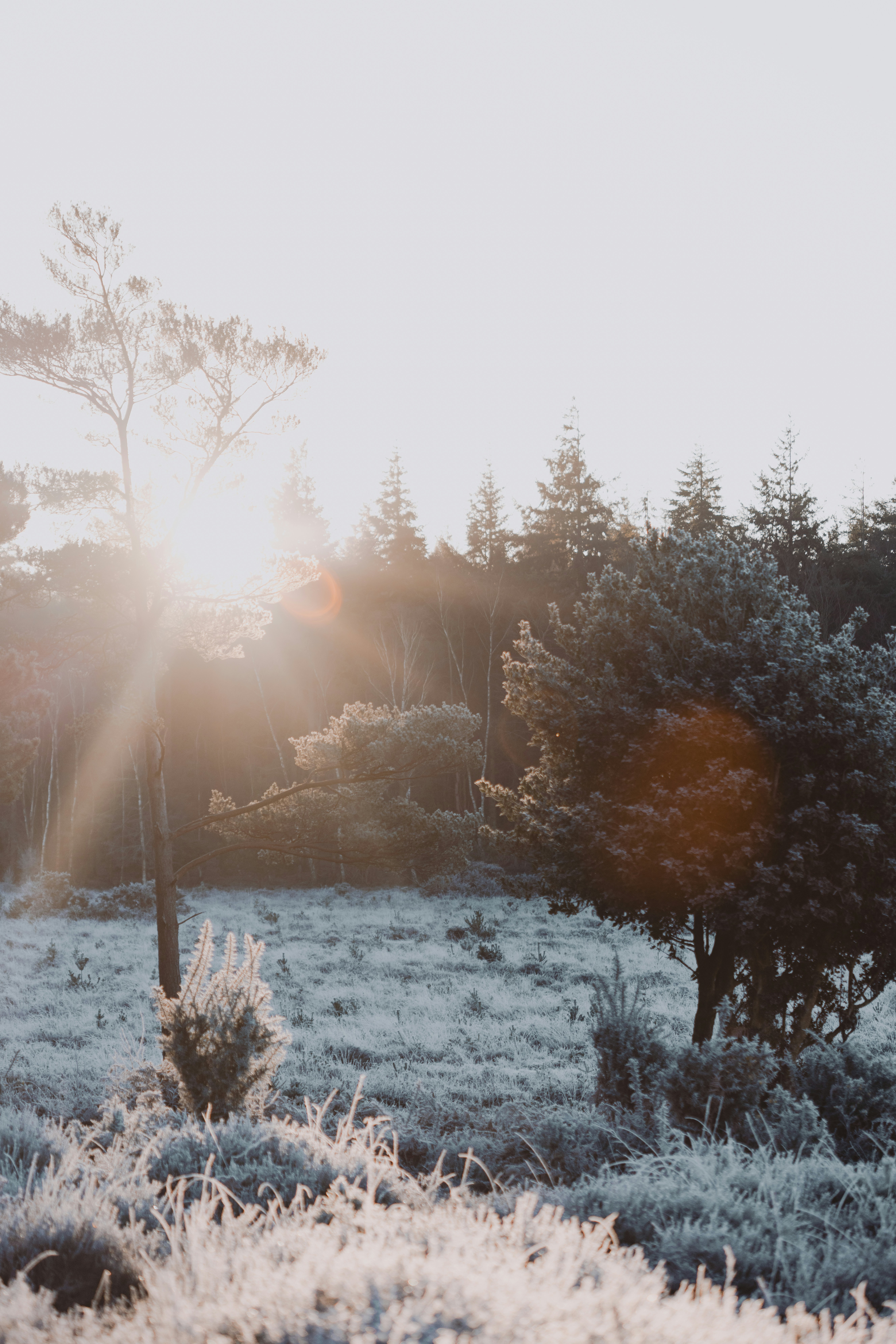 Photo by anniespratt