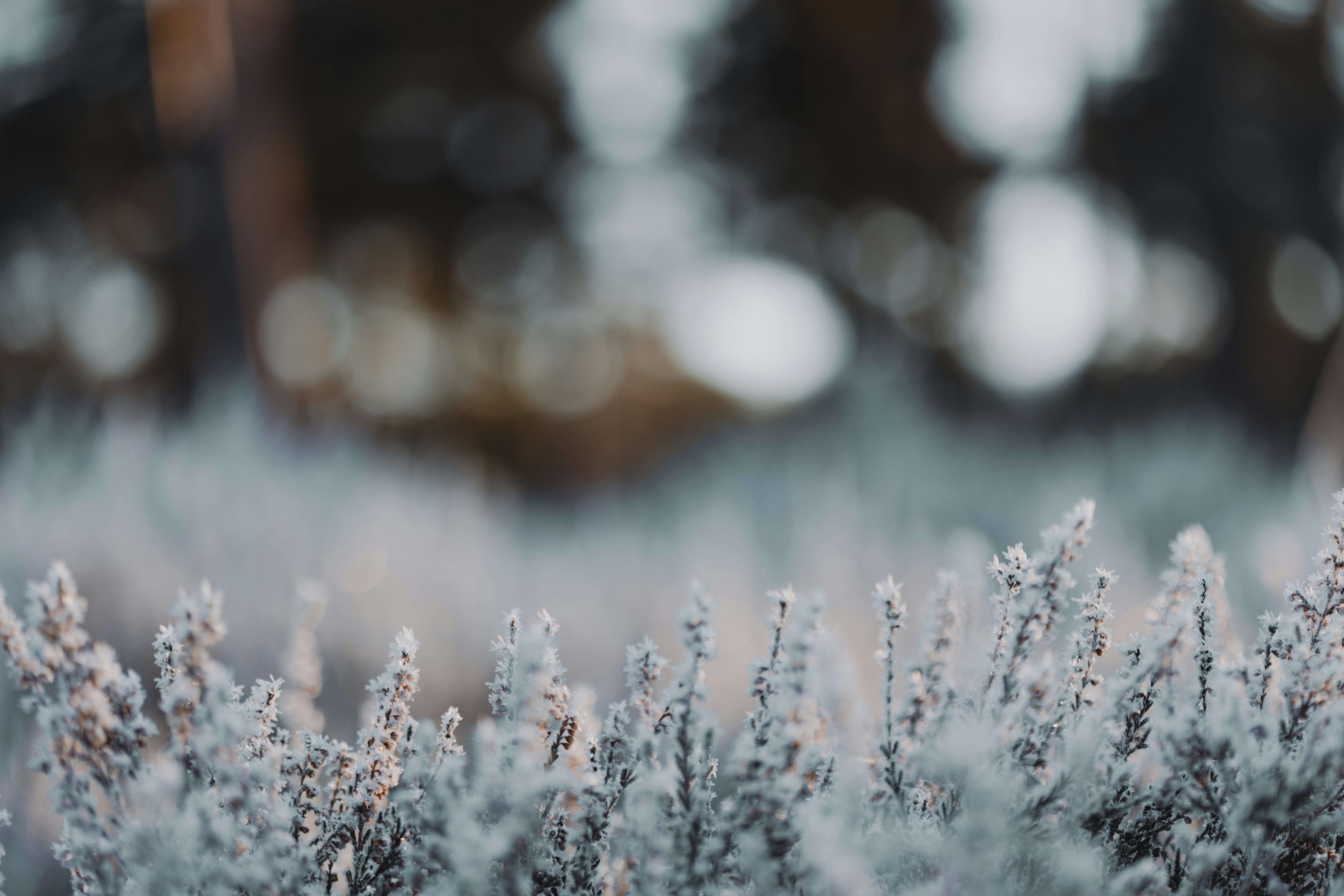 Photo by anniespratt