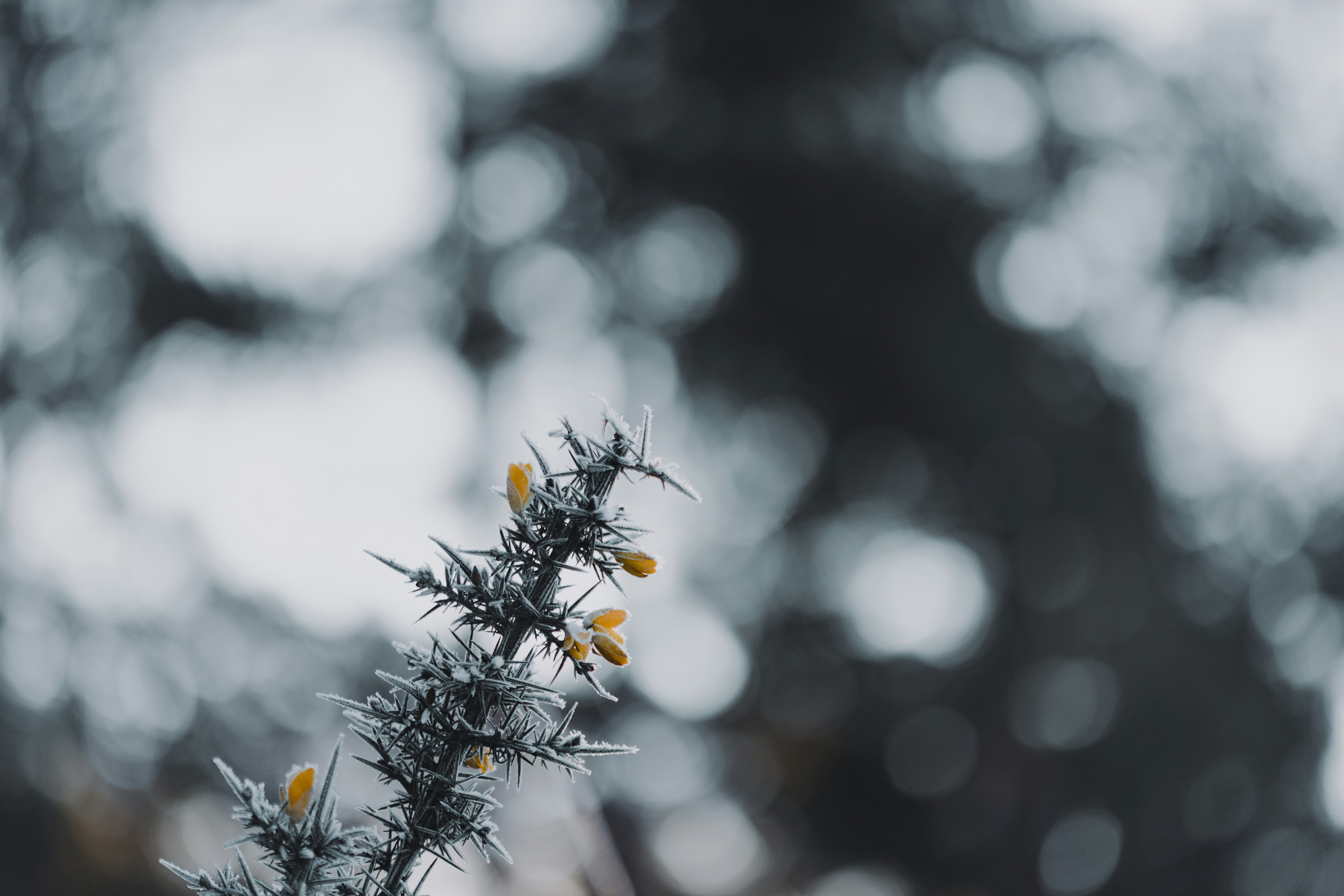 Photo by anniespratt