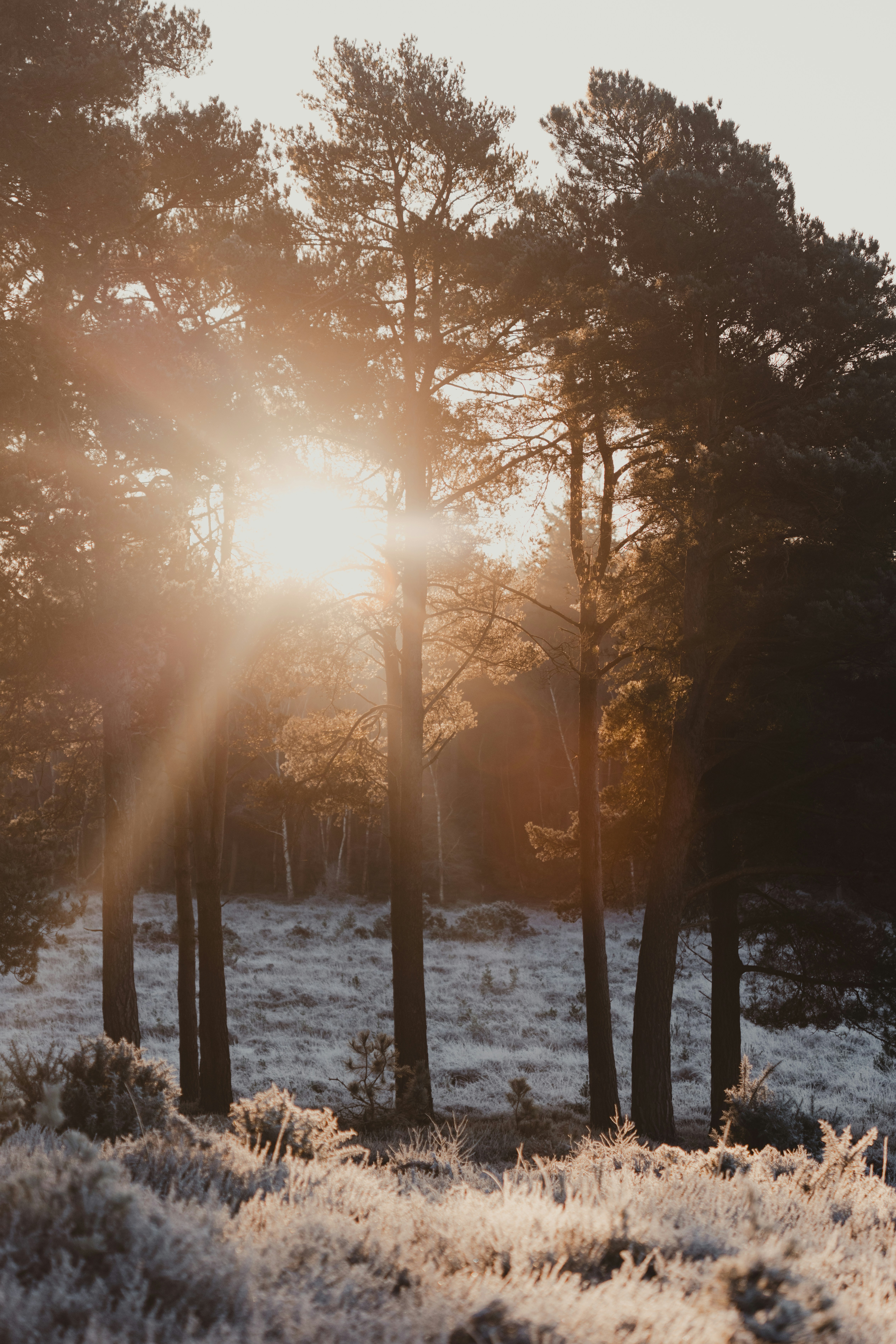 Photo by anniespratt