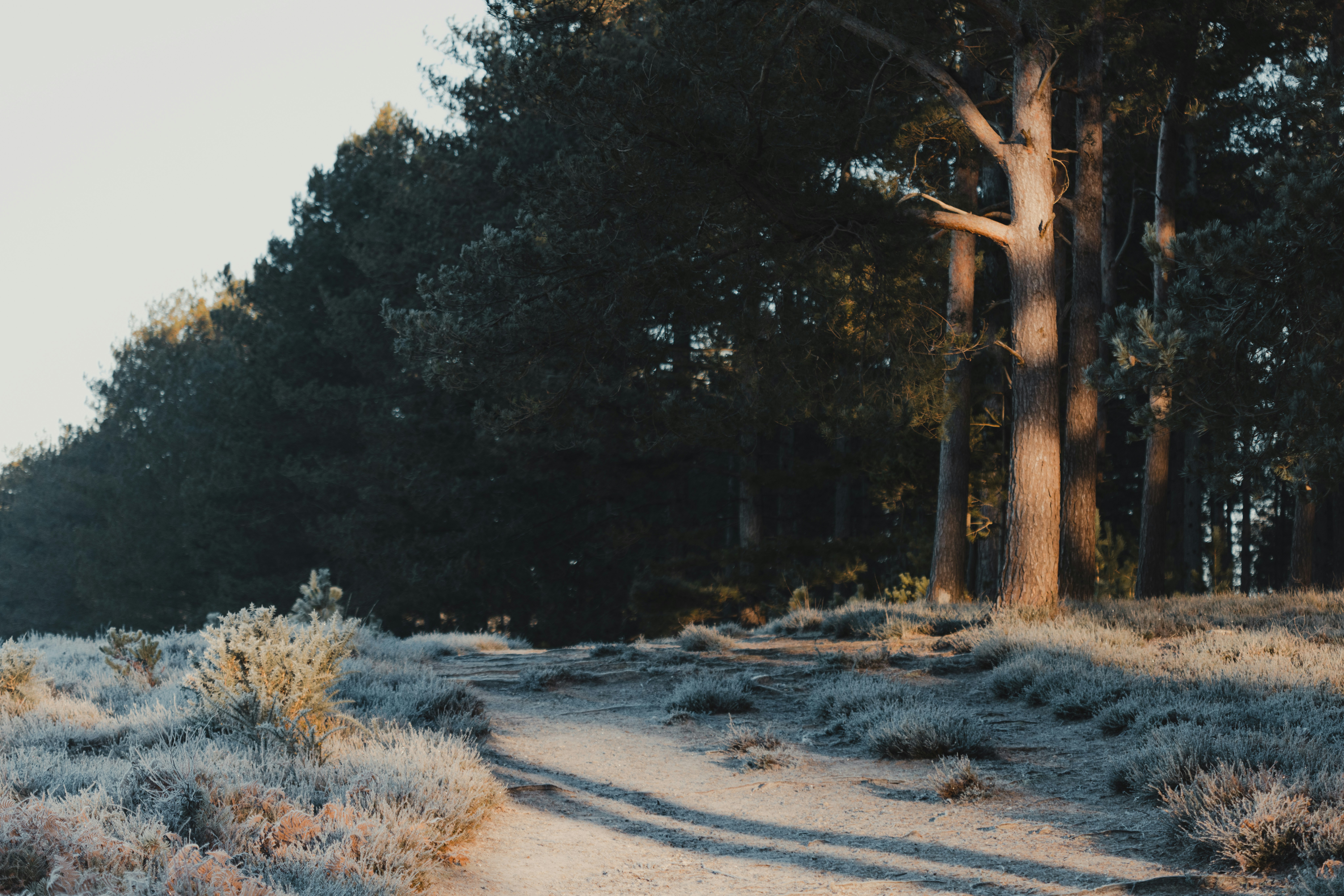 Photo by anniespratt