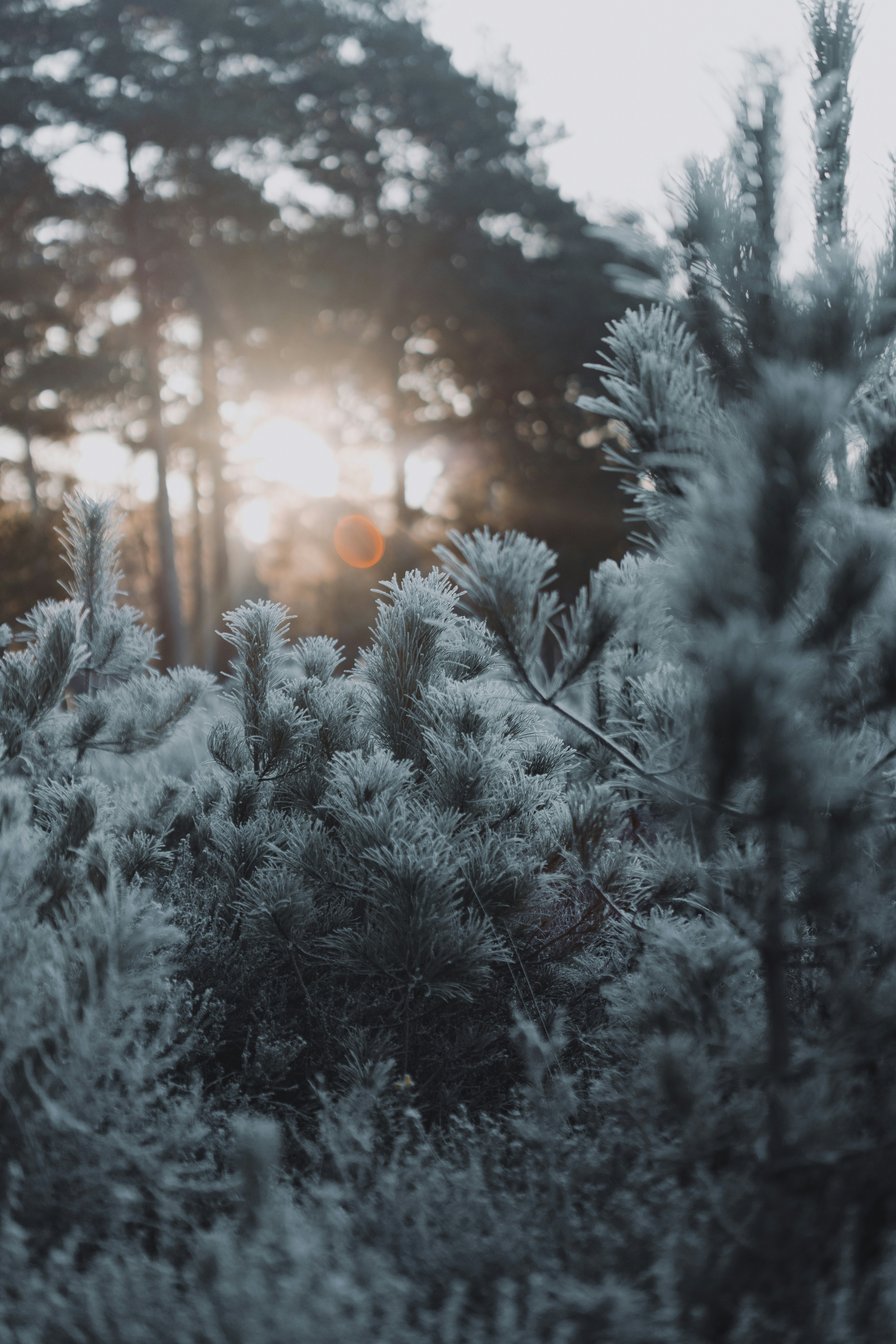 Photo by anniespratt