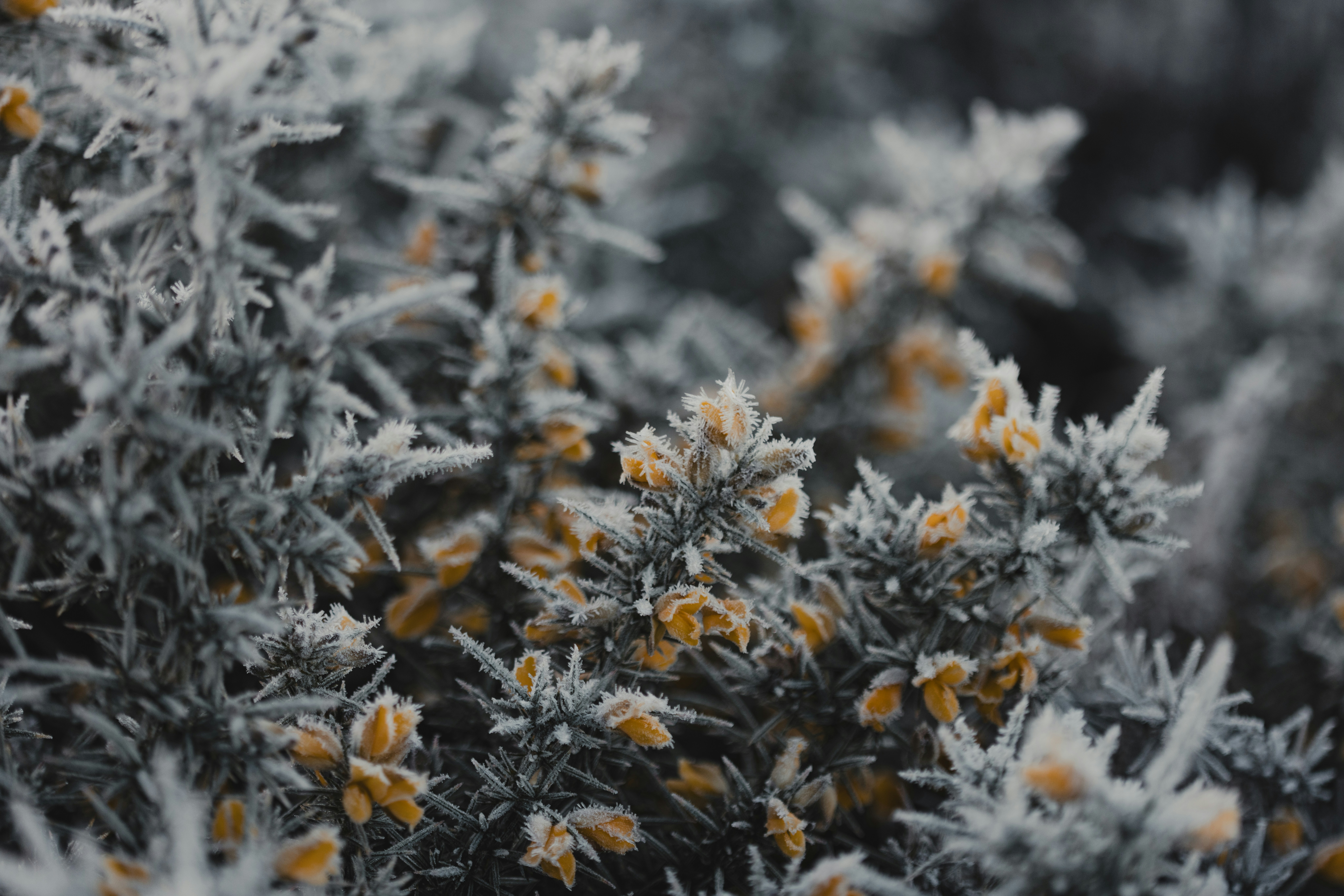 Photo by anniespratt