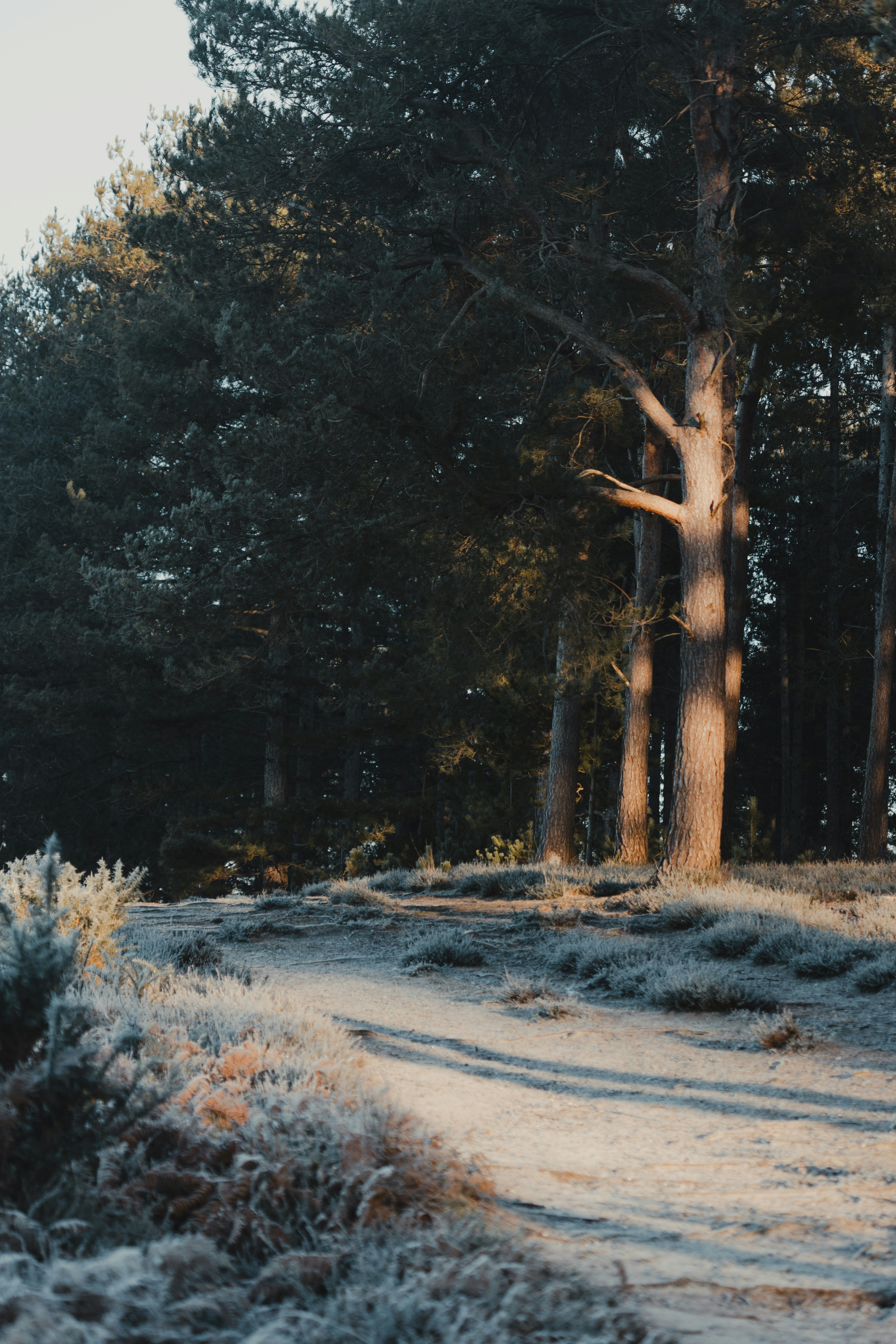 Photo by anniespratt