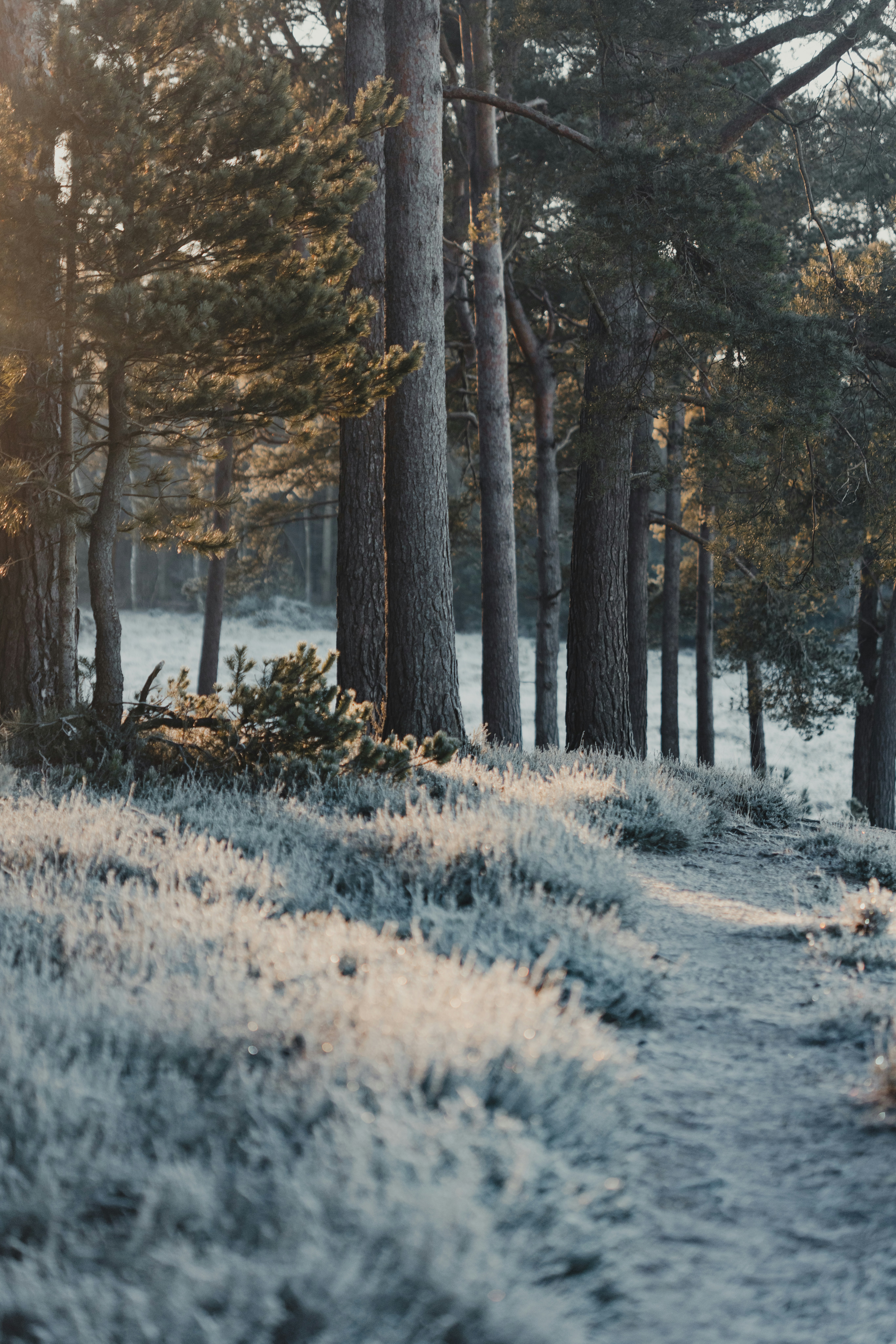 Photo by anniespratt