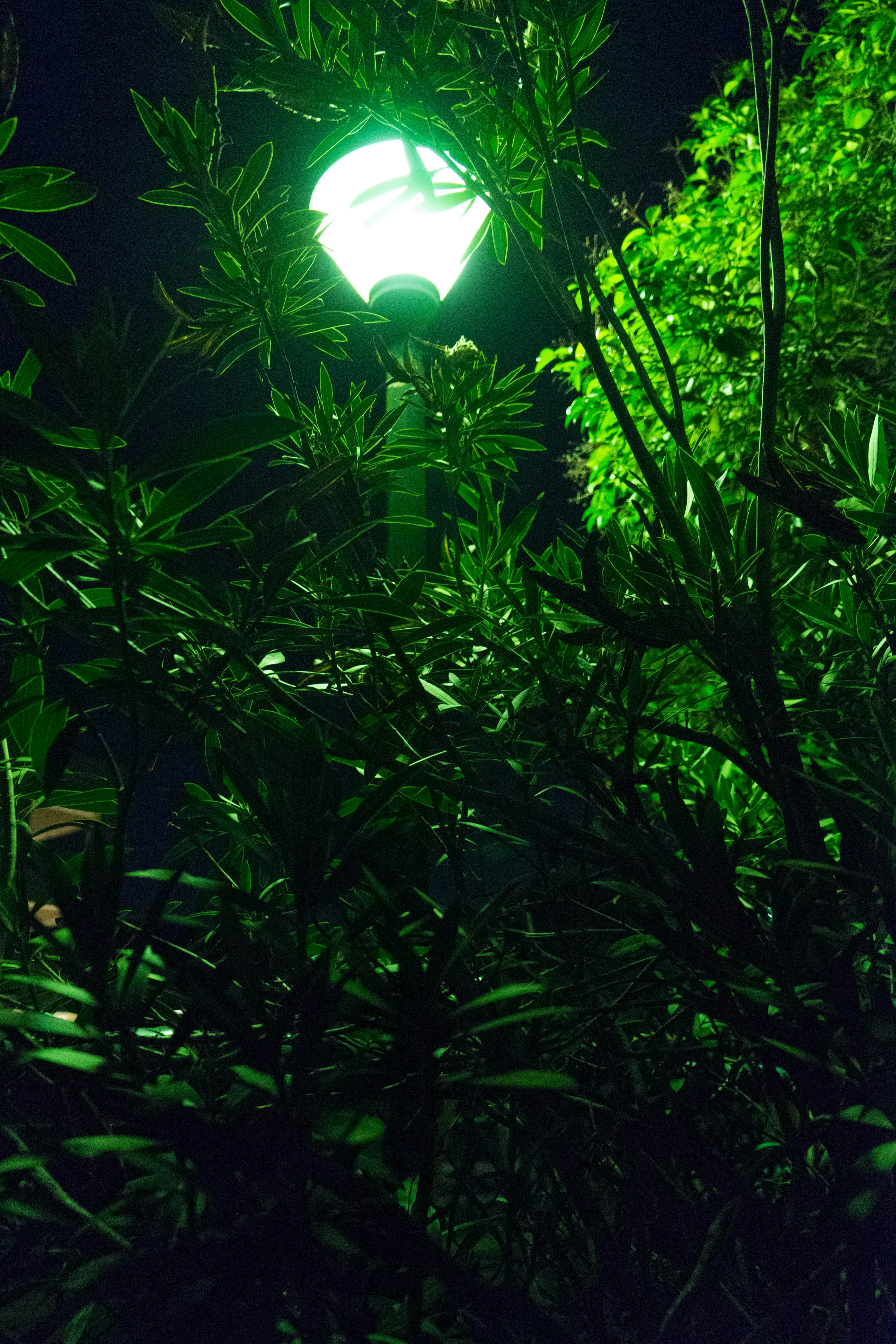 Photo by anastasia_lada