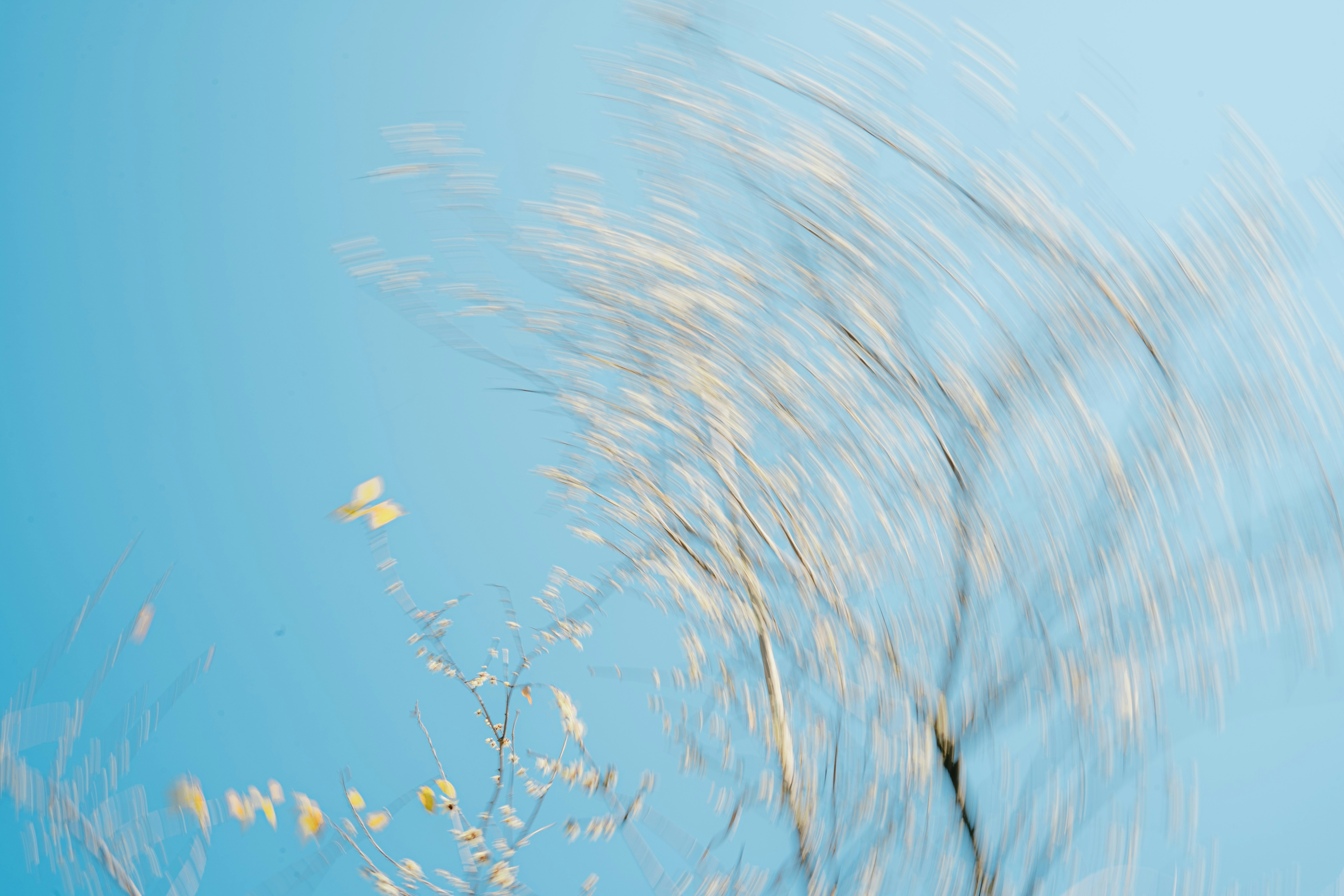 Photo by xiexianghua