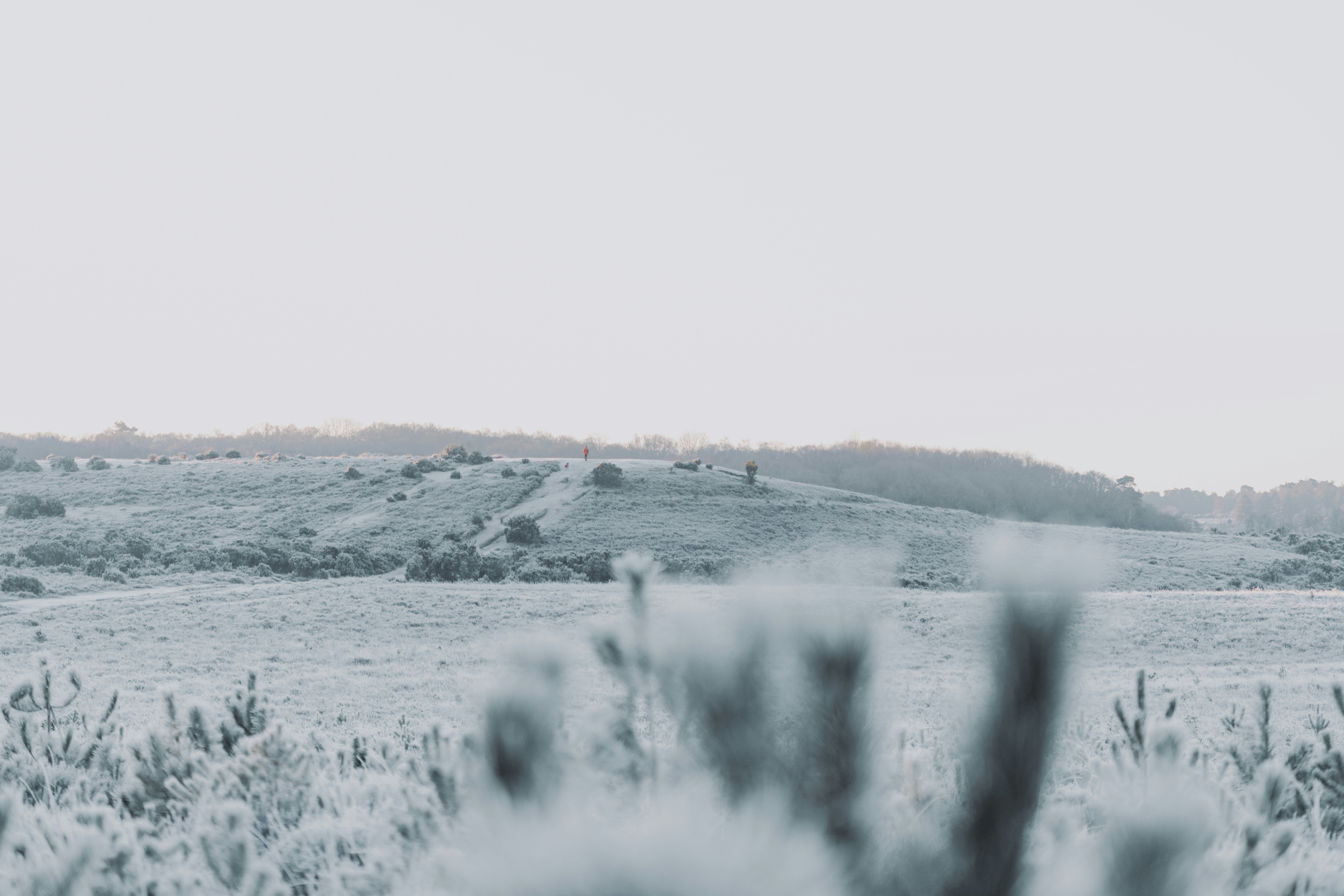 Photo by anniespratt