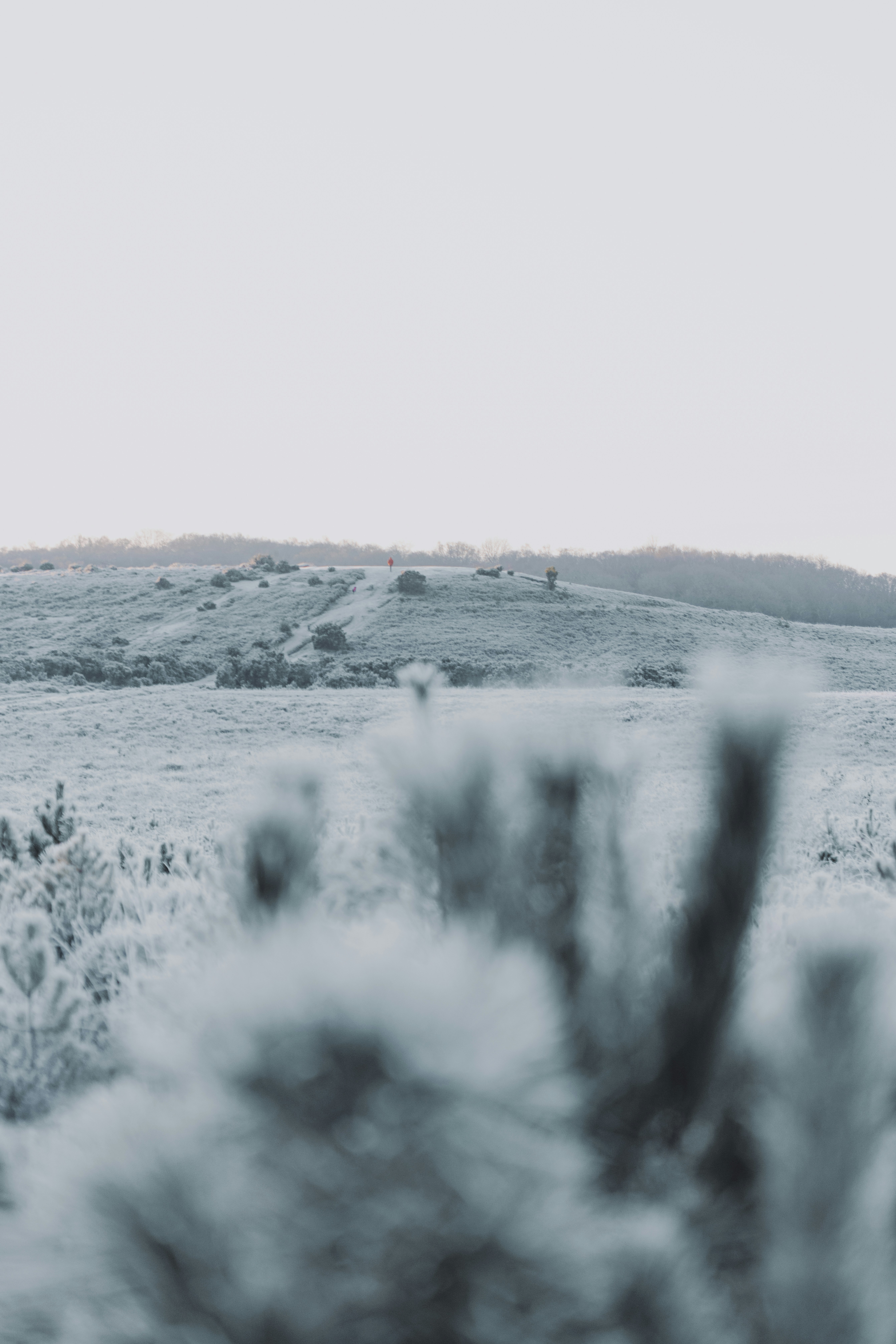 Photo by anniespratt