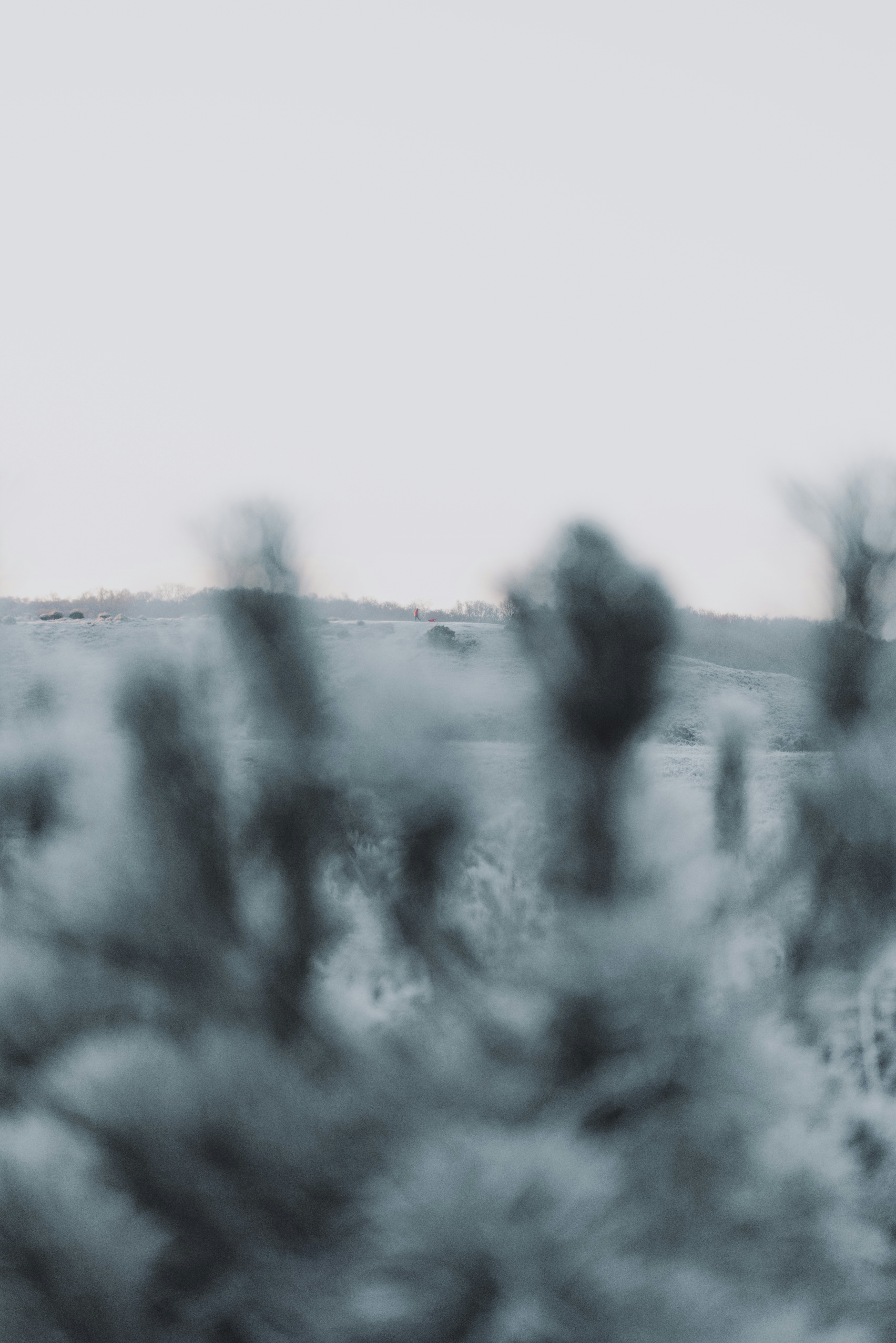 Photo by anniespratt