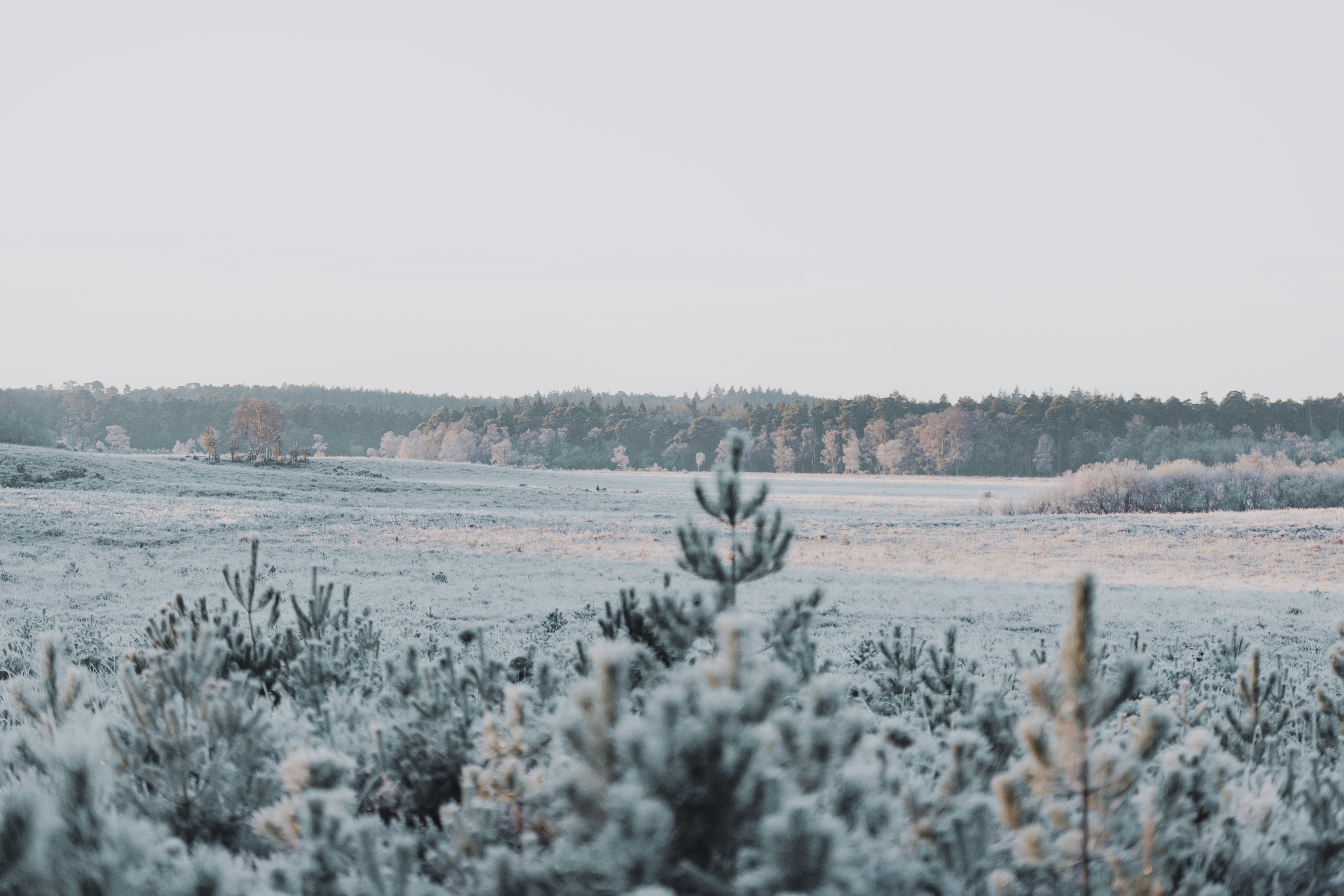 Photo by anniespratt