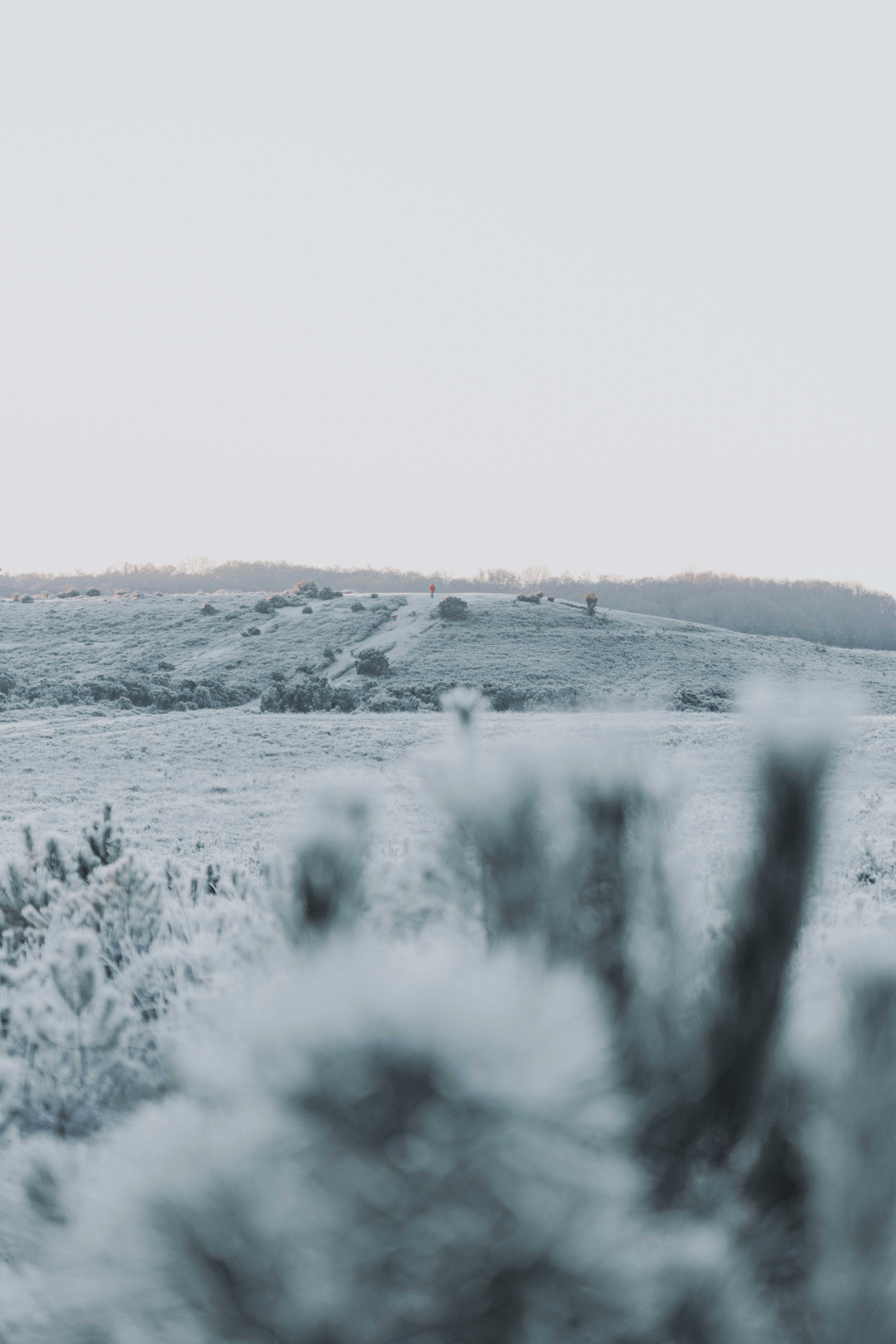 Photo by anniespratt