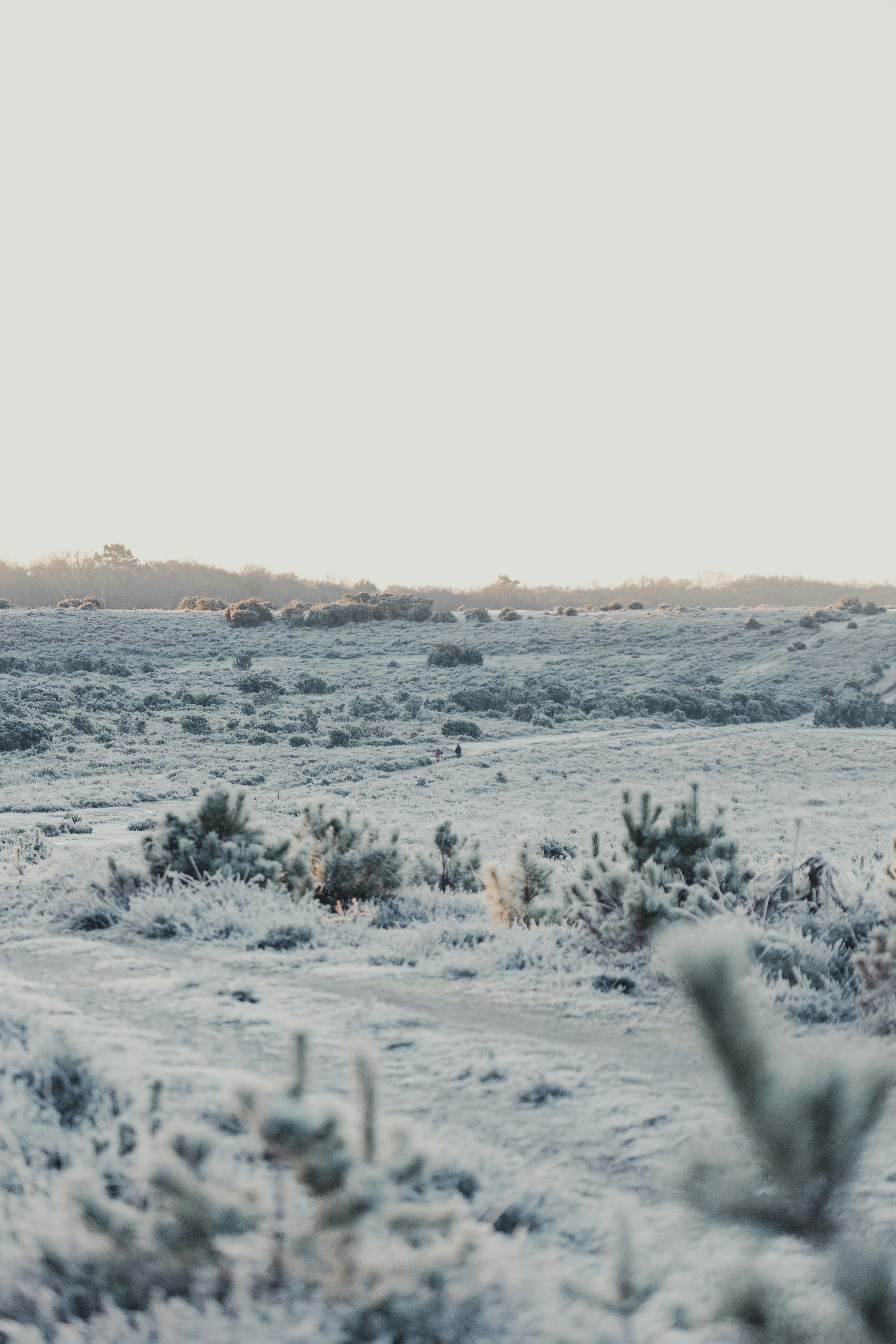 Photo by anniespratt