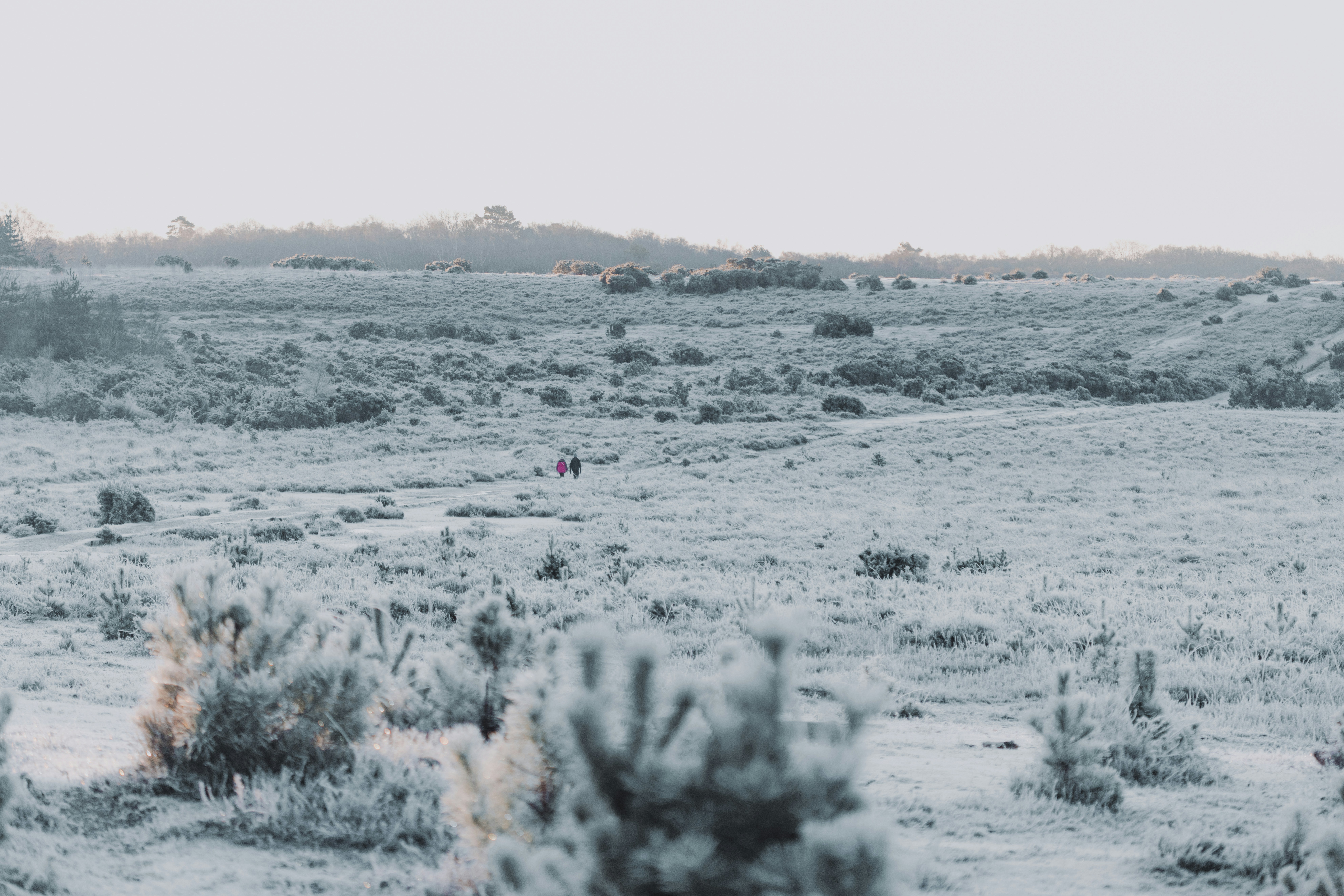 Photo by anniespratt