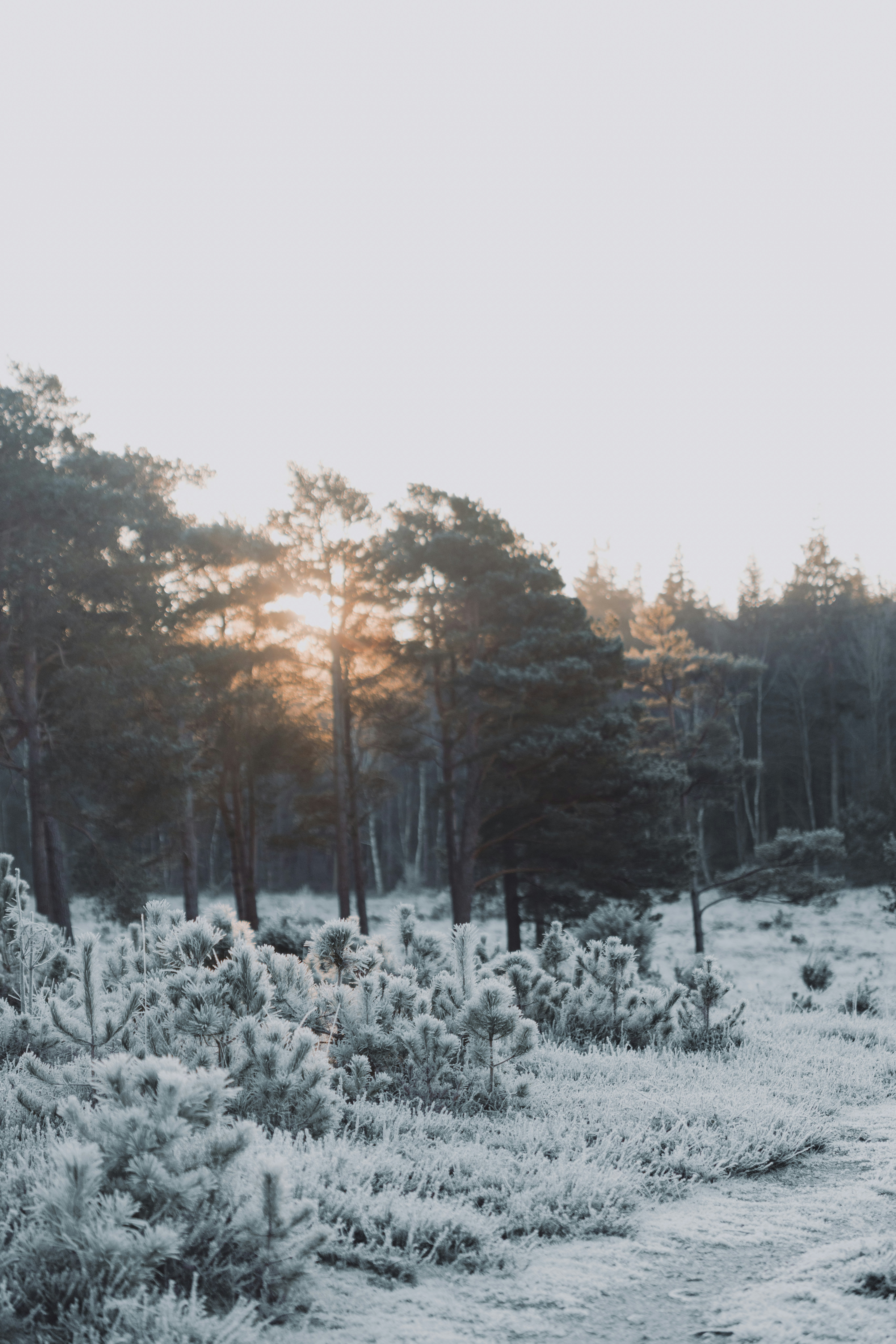 Photo by anniespratt