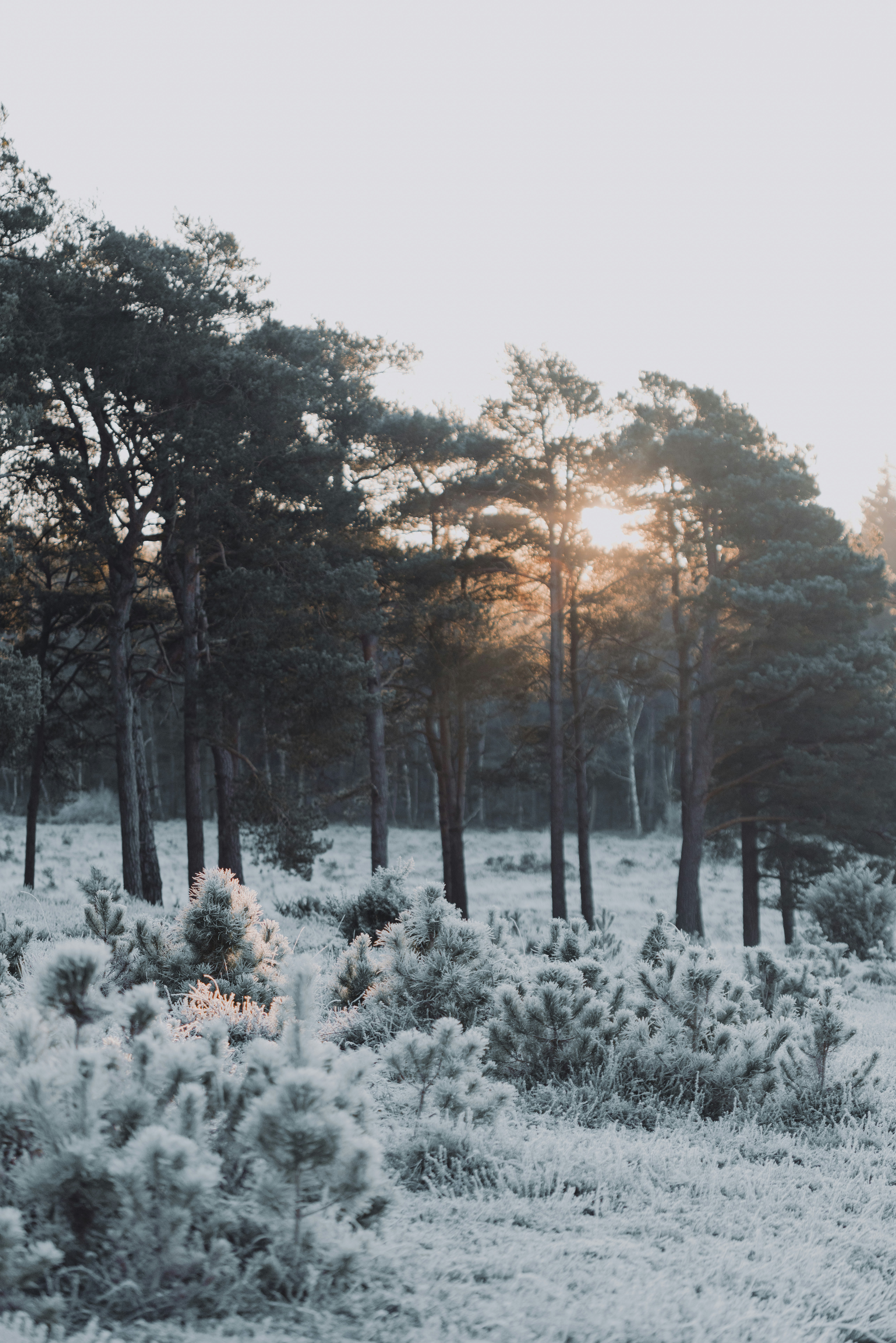 Photo by anniespratt