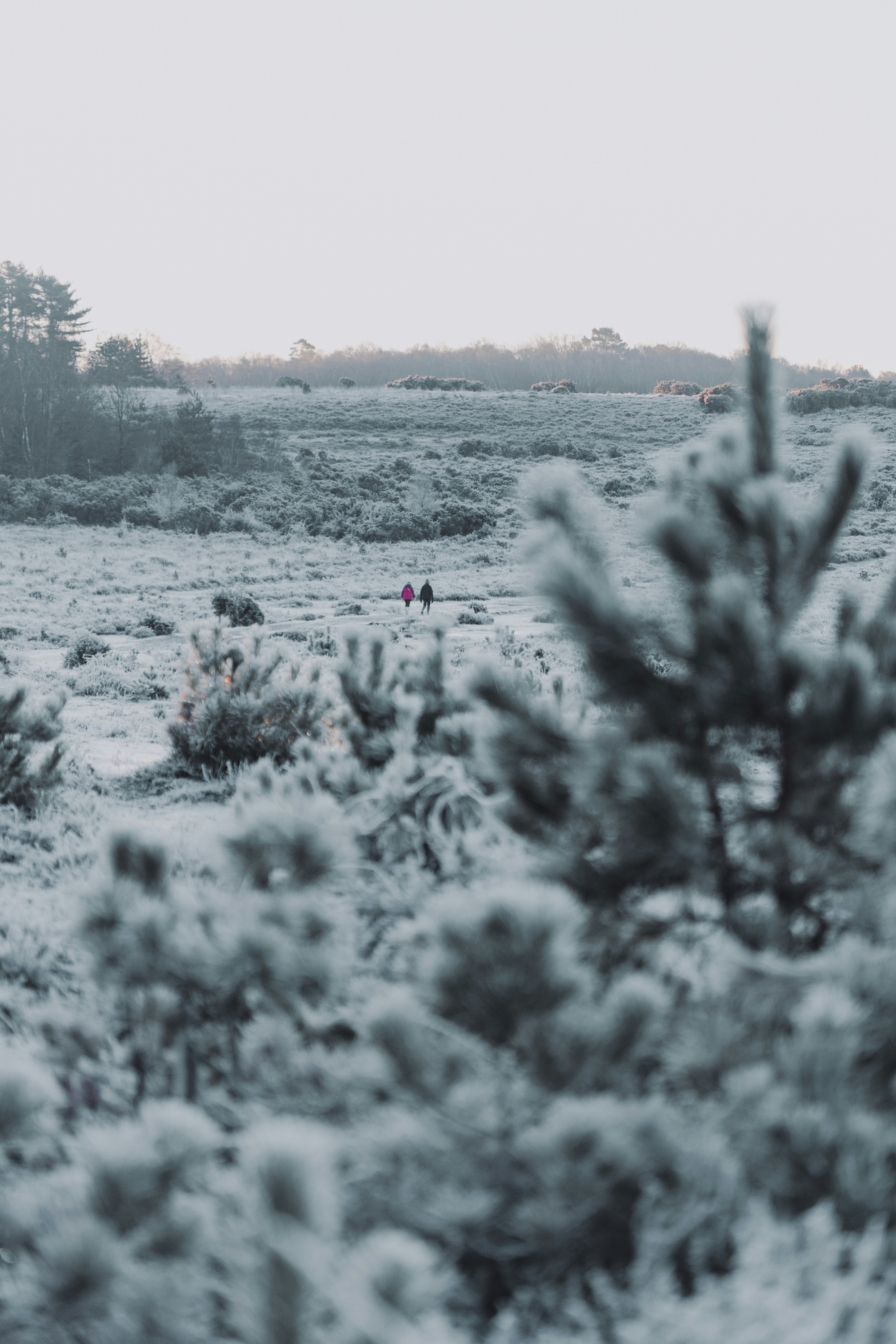 Photo by anniespratt