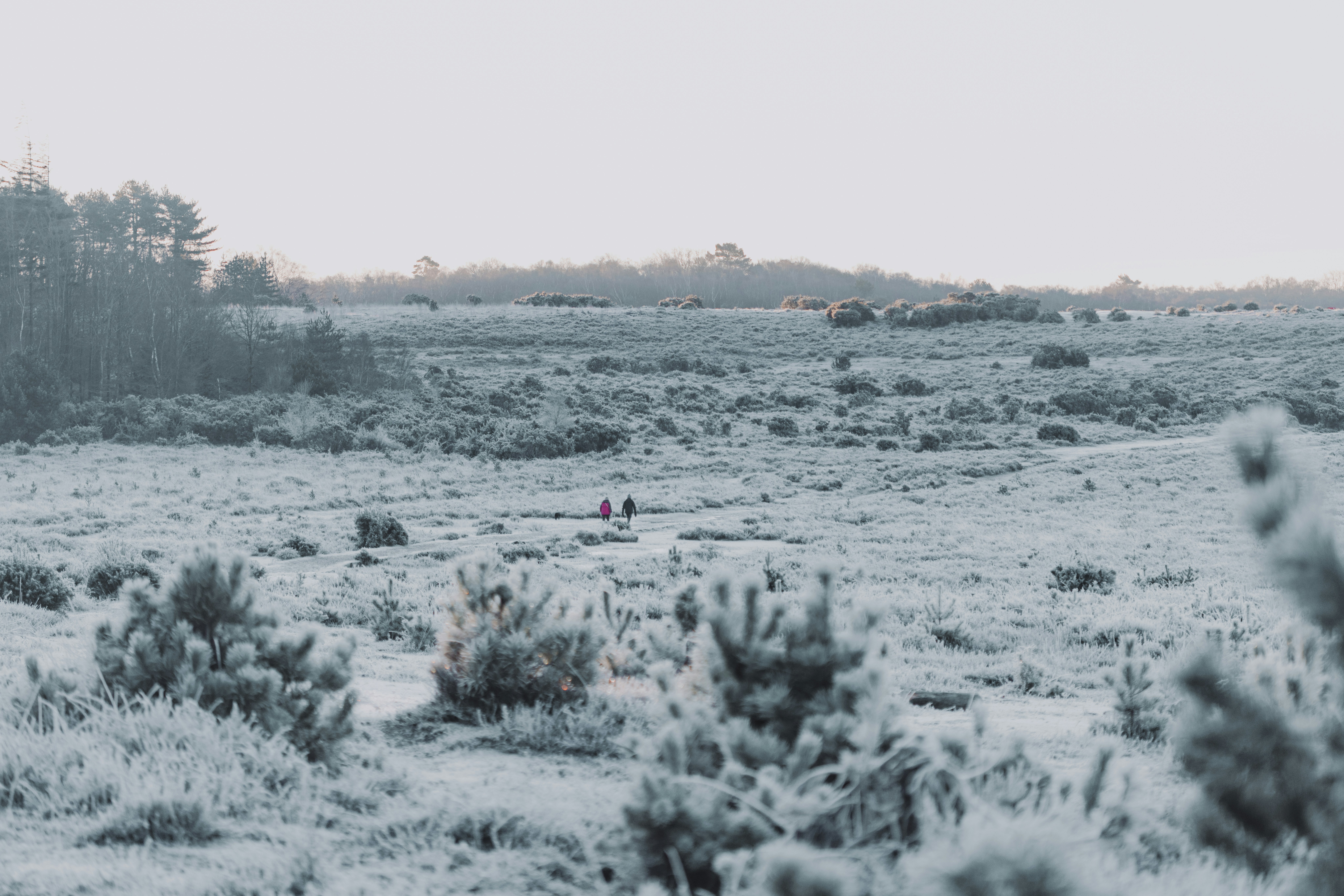 Photo by anniespratt