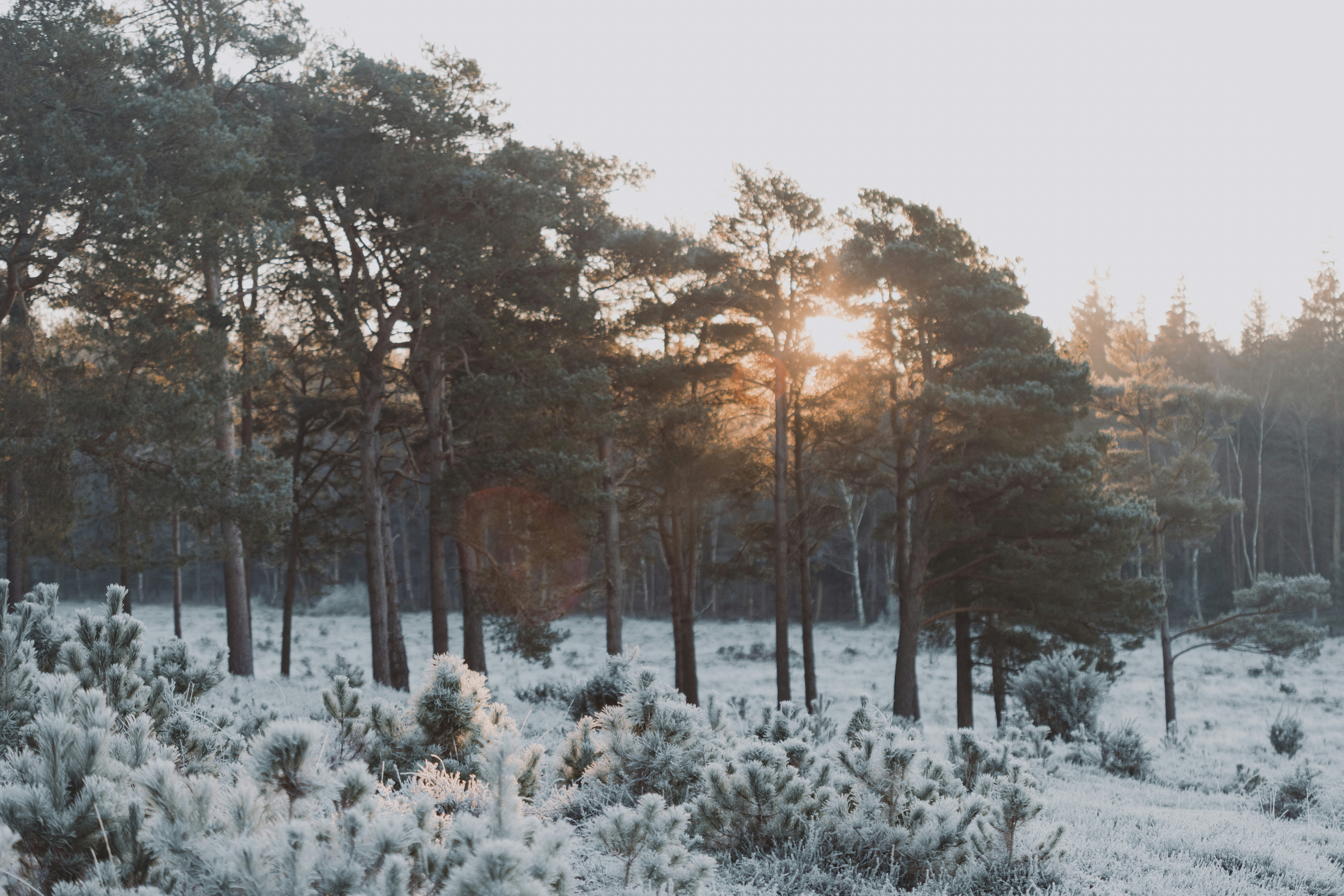 Photo by anniespratt