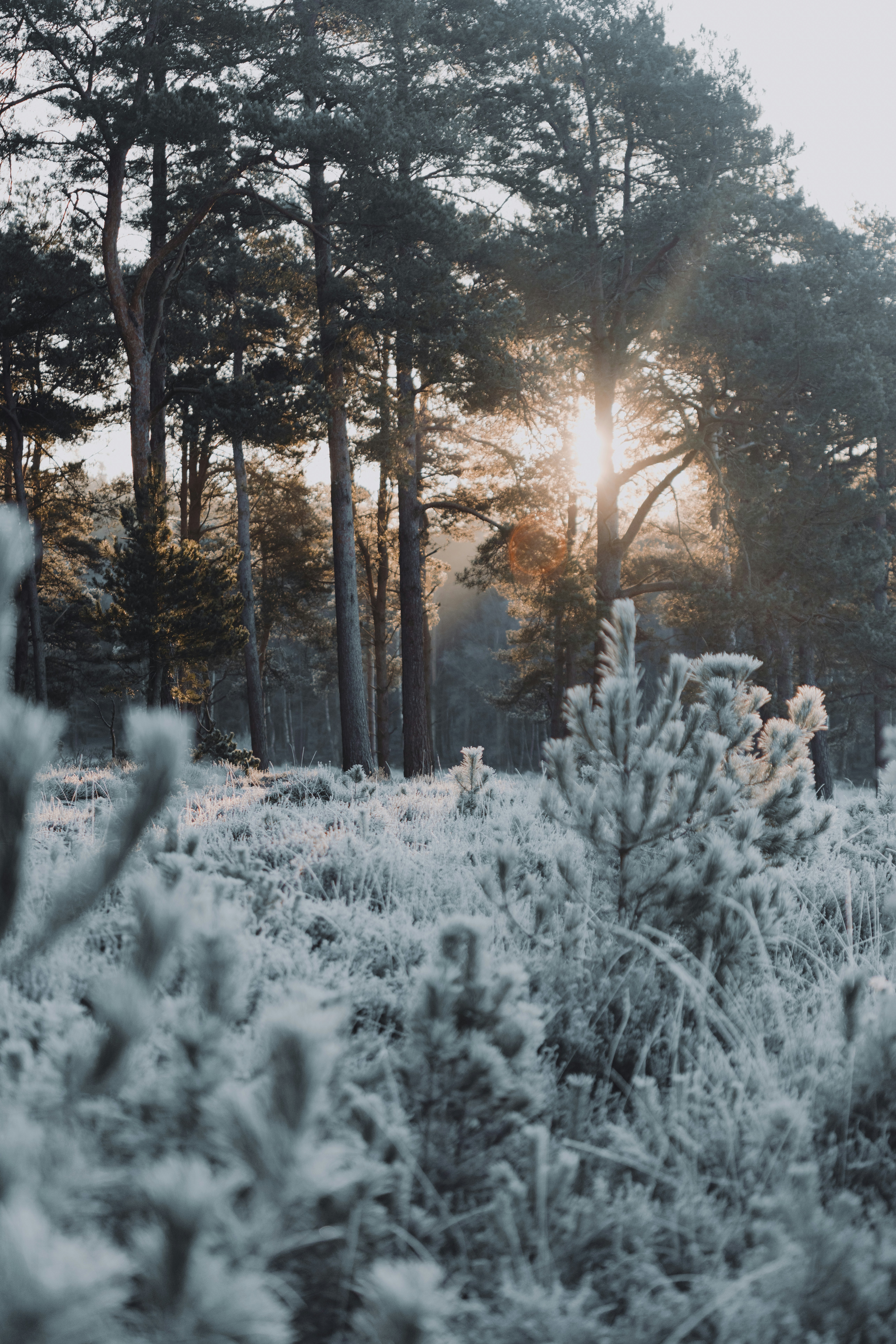 Photo by anniespratt