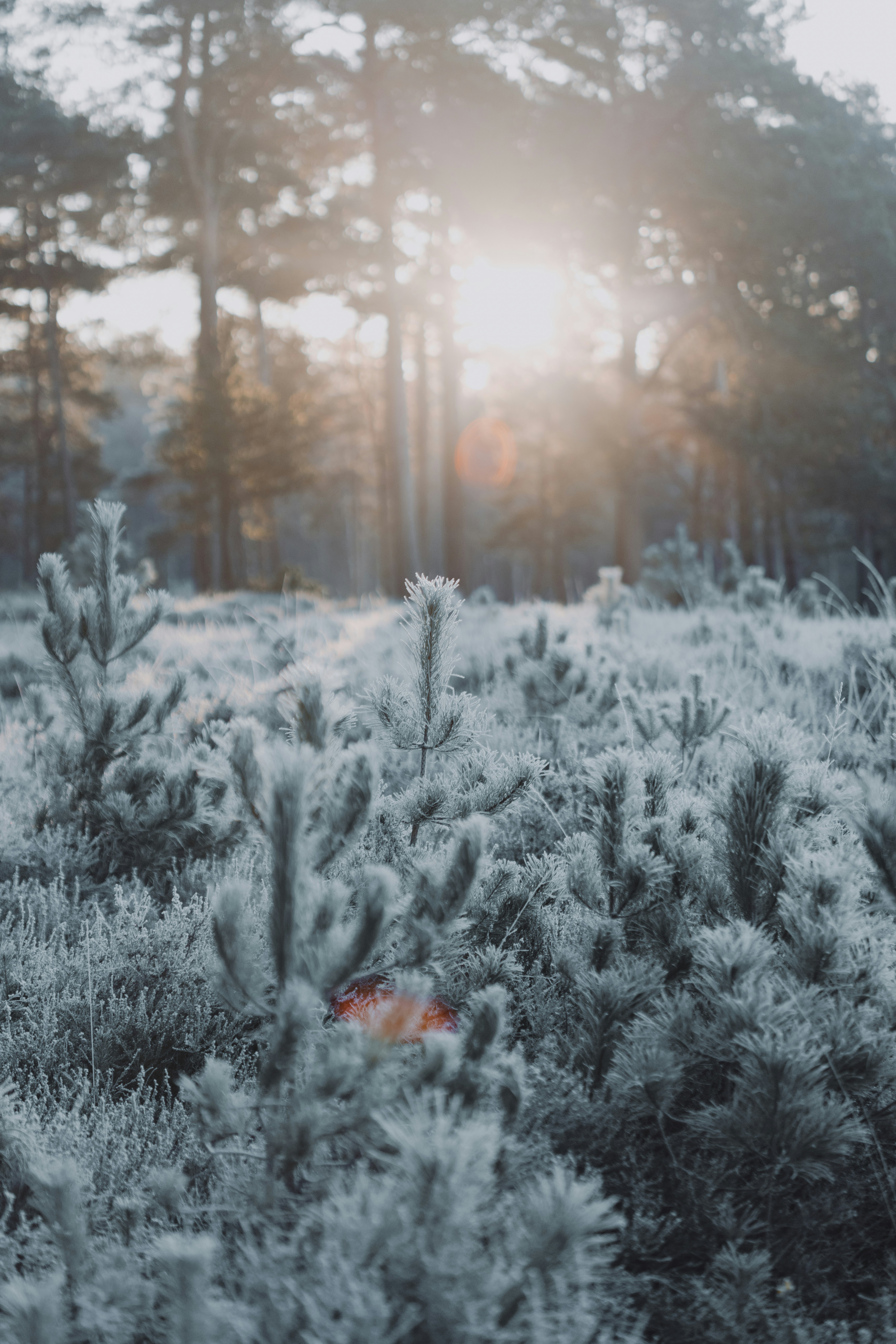 Photo by anniespratt