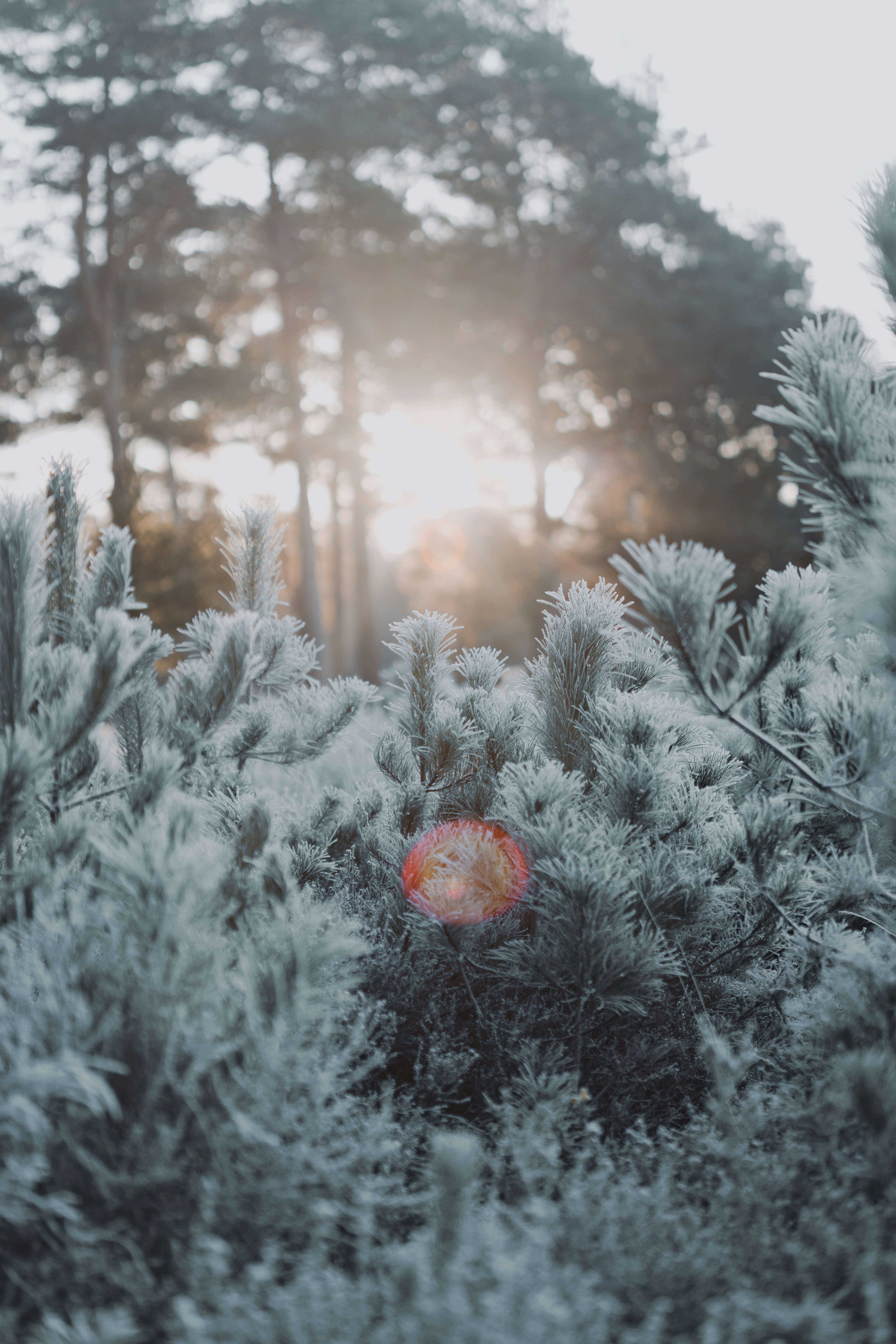 Photo by anniespratt