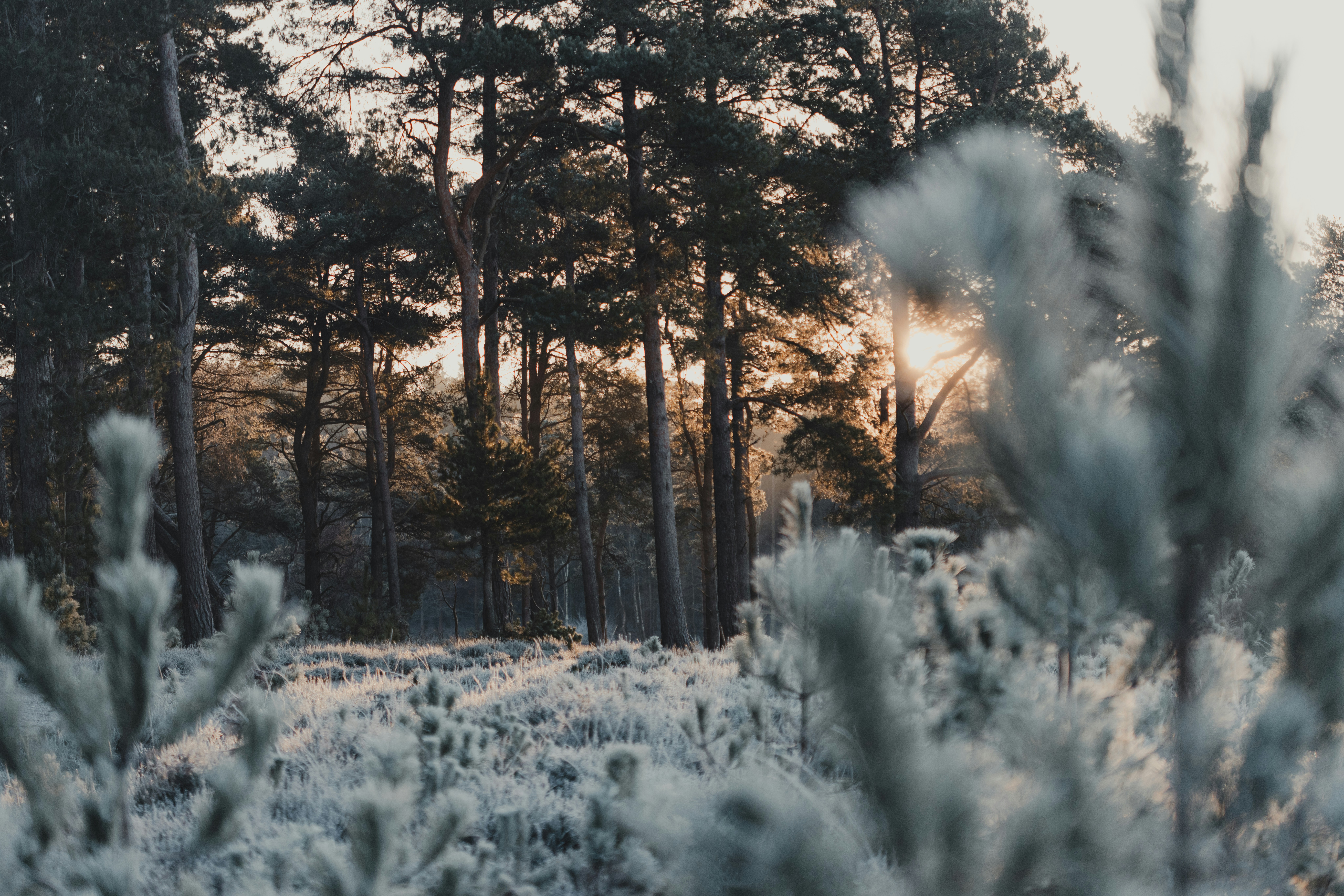 Photo by anniespratt